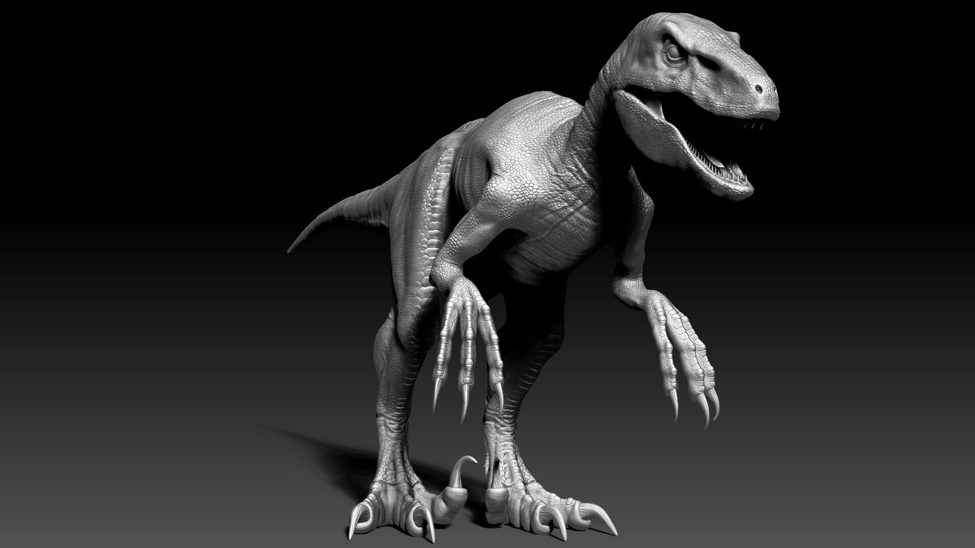Dinosaur RAPTOR Dinosaur Hybrid Velociraptor Sculpt Project 3D model_14