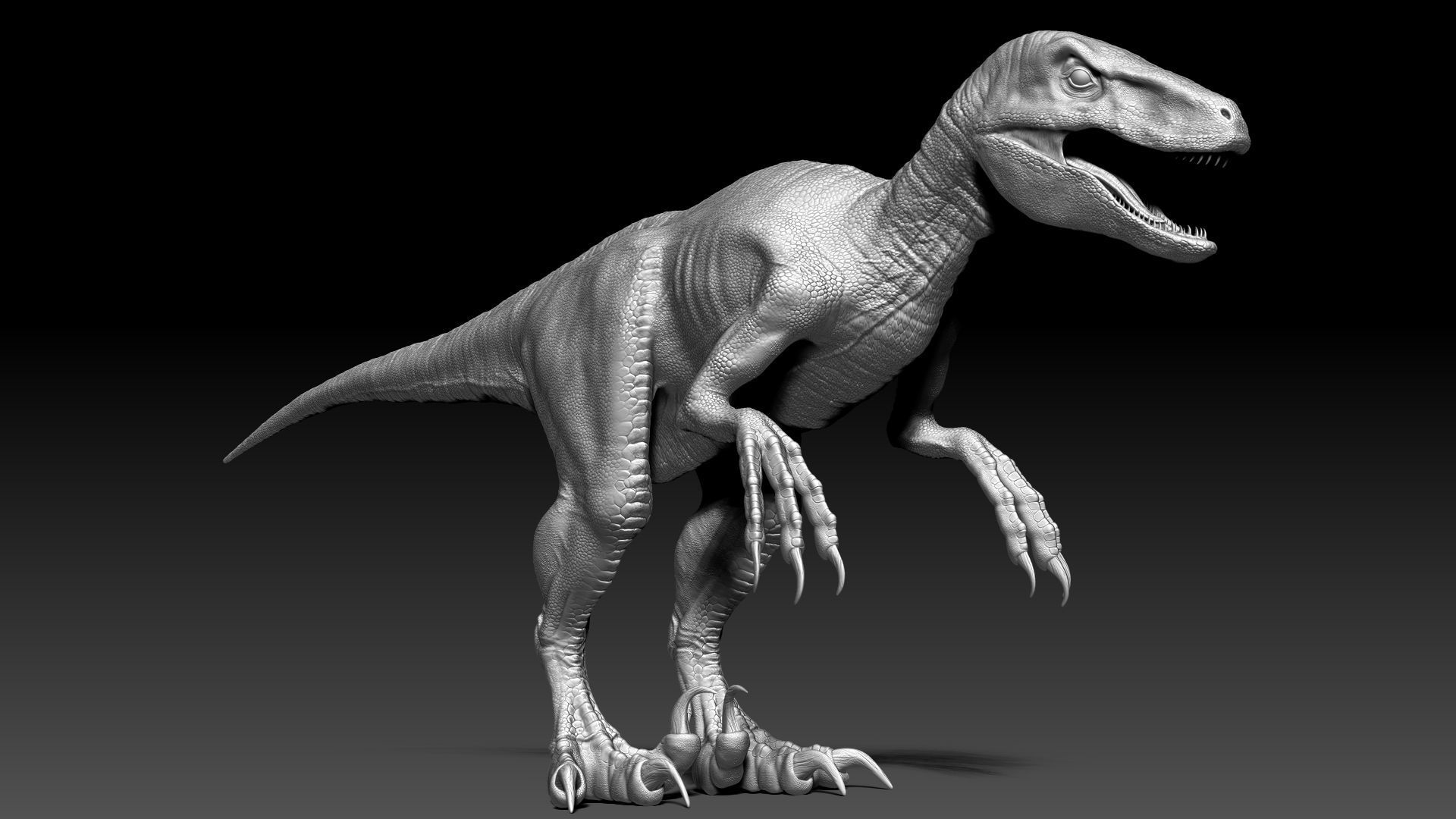 Dinosaur RAPTOR Dinosaur Hybrid Velociraptor Sculpt Project 3D model_6