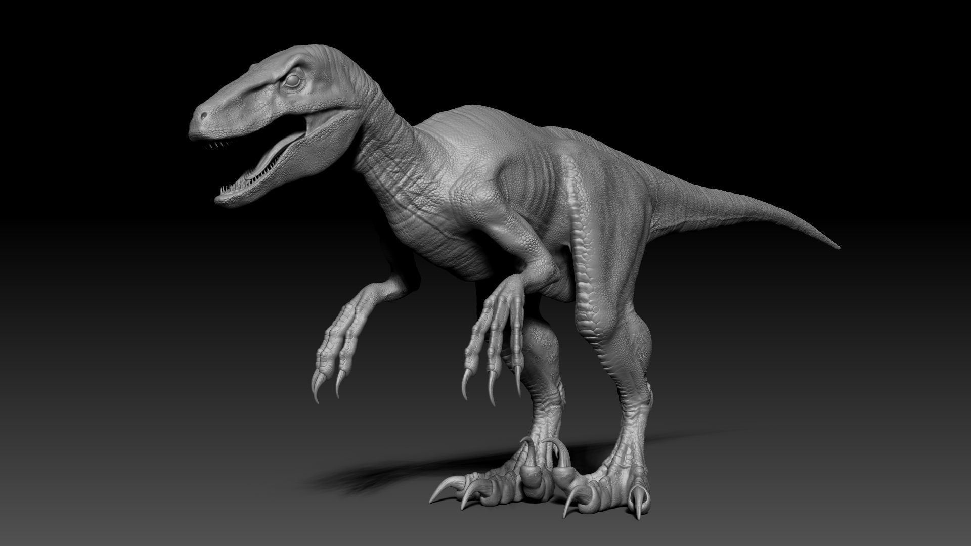Dinosaur RAPTOR Dinosaur Hybrid Velociraptor Sculpt Project 3D model_3