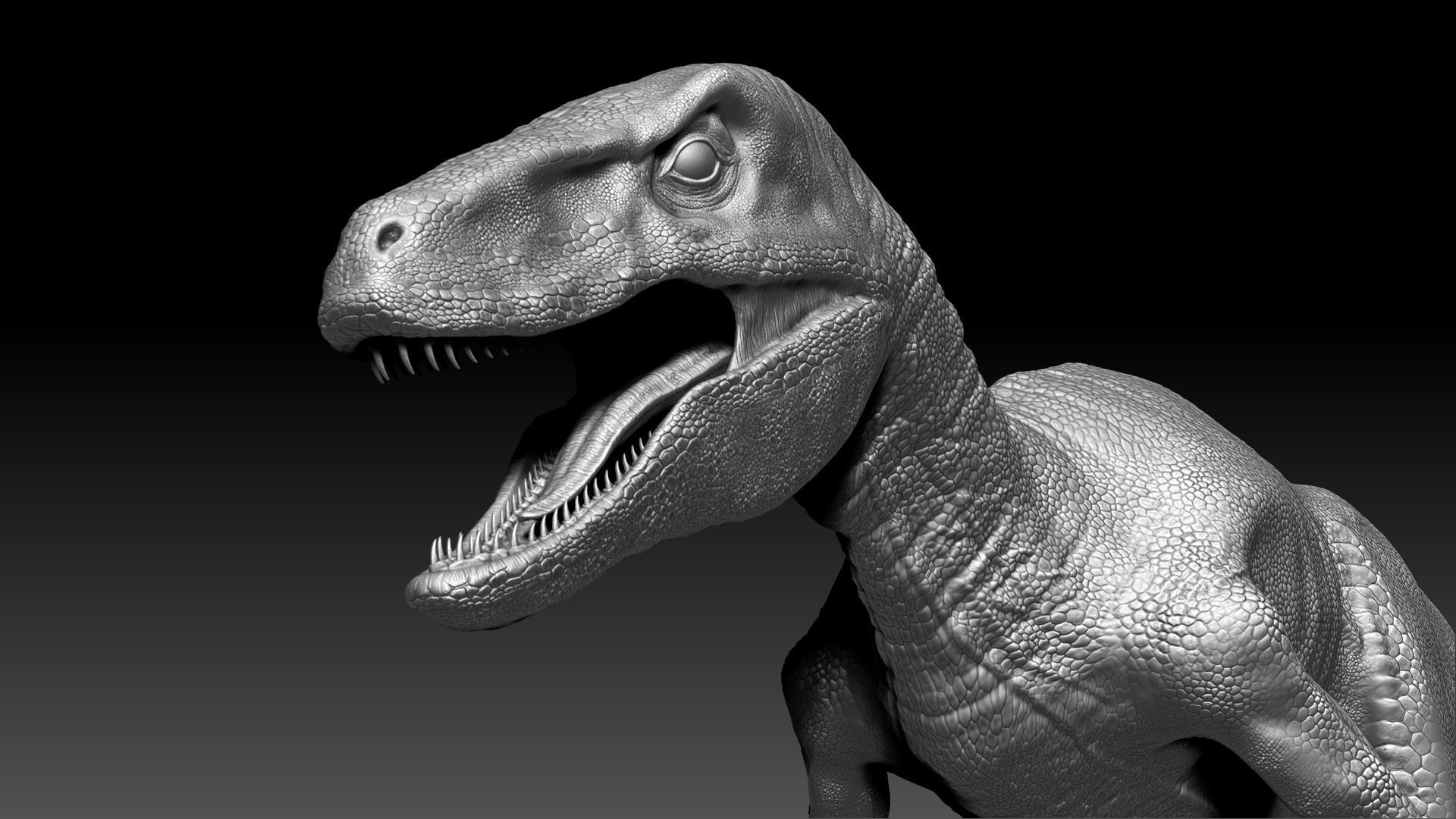 Dinosaur RAPTOR Dinosaur Hybrid Velociraptor Sculpt Project 3D model_13
