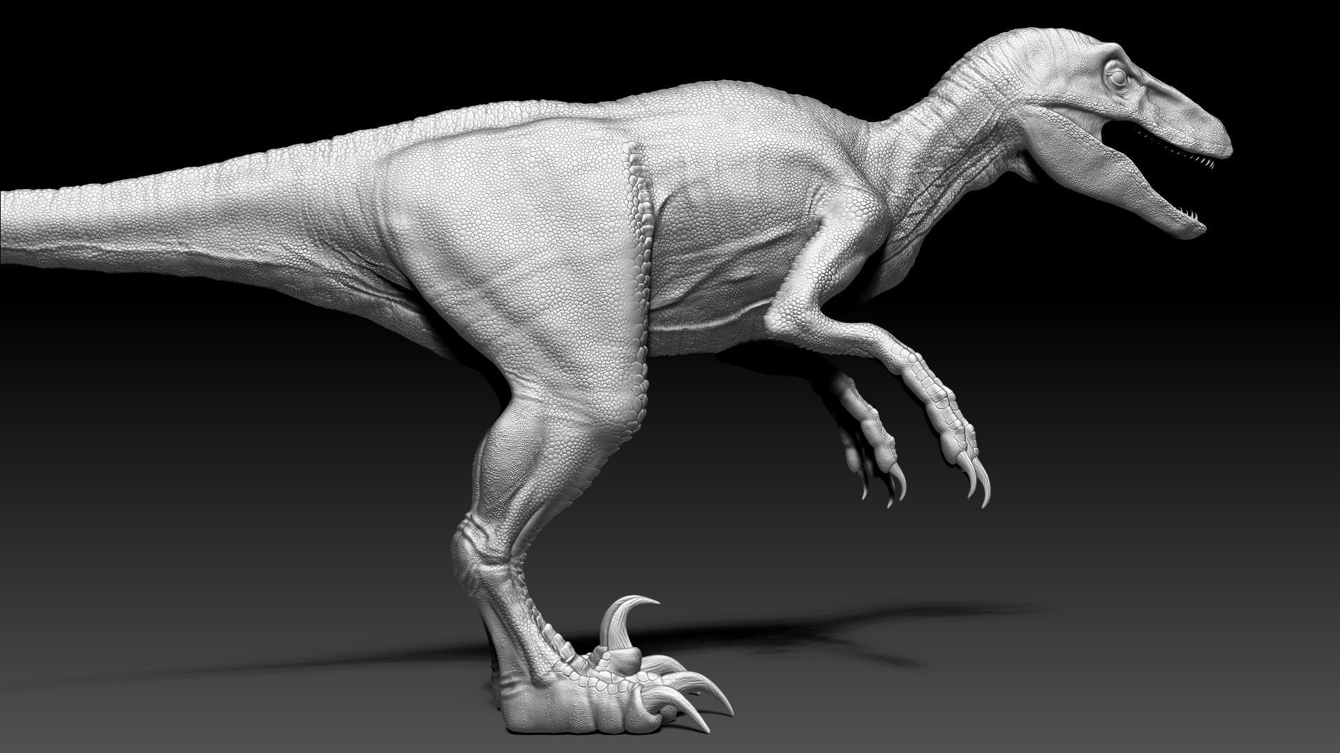 Dinosaur RAPTOR Dinosaur Hybrid Velociraptor Sculpt Project 3D model_10