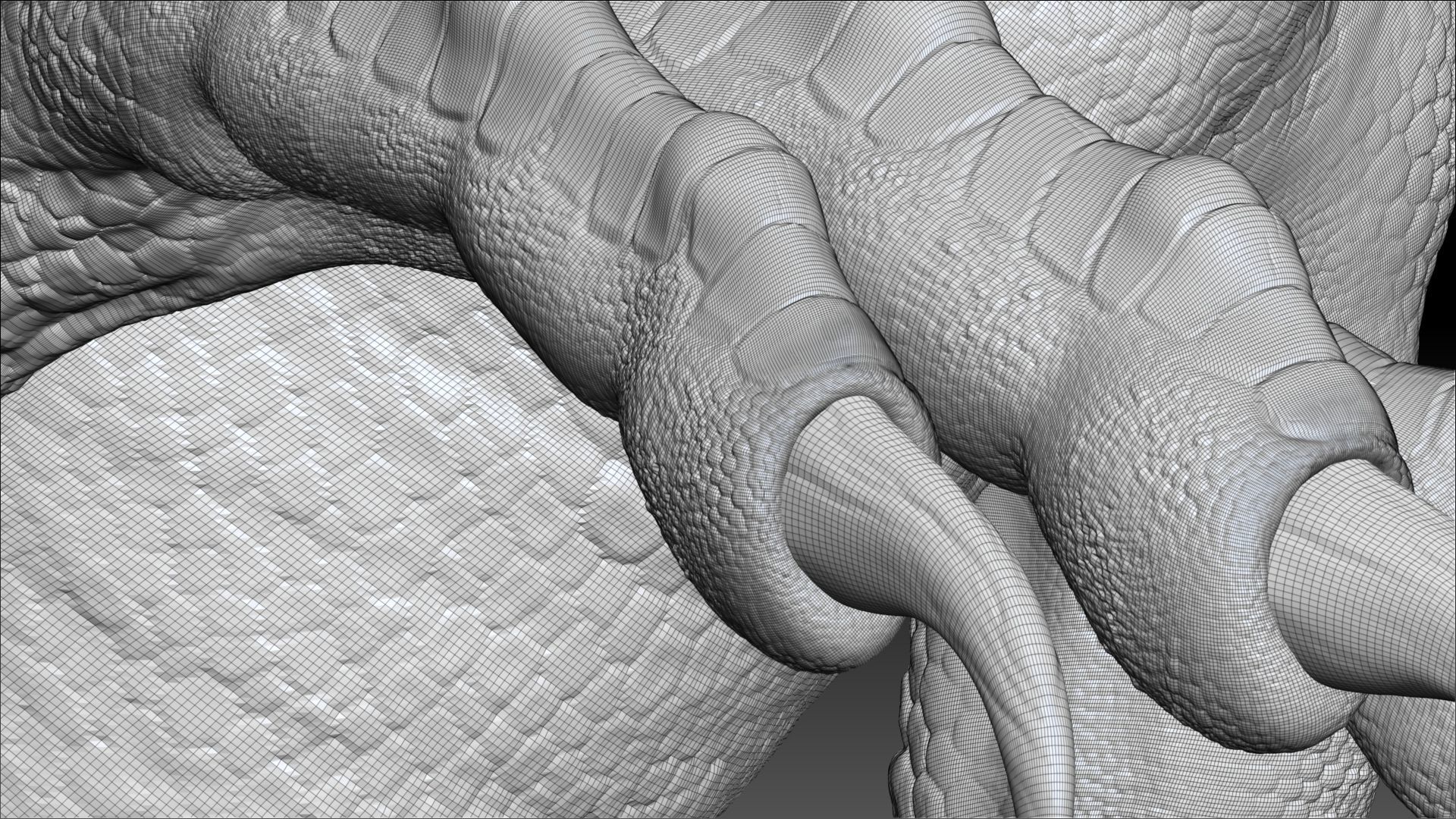 Dinosaur RAPTOR Dinosaur Hybrid Velociraptor Sculpt Project 3D model_17