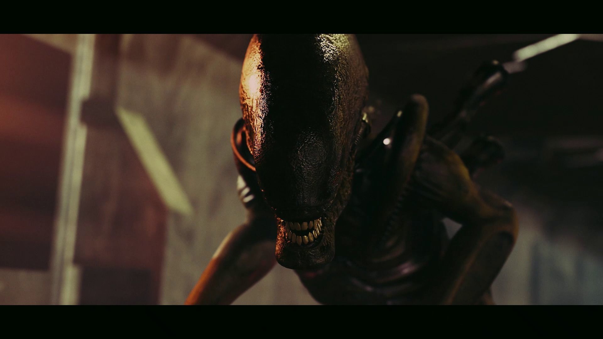 Alien - Xenomorph 3D model_4