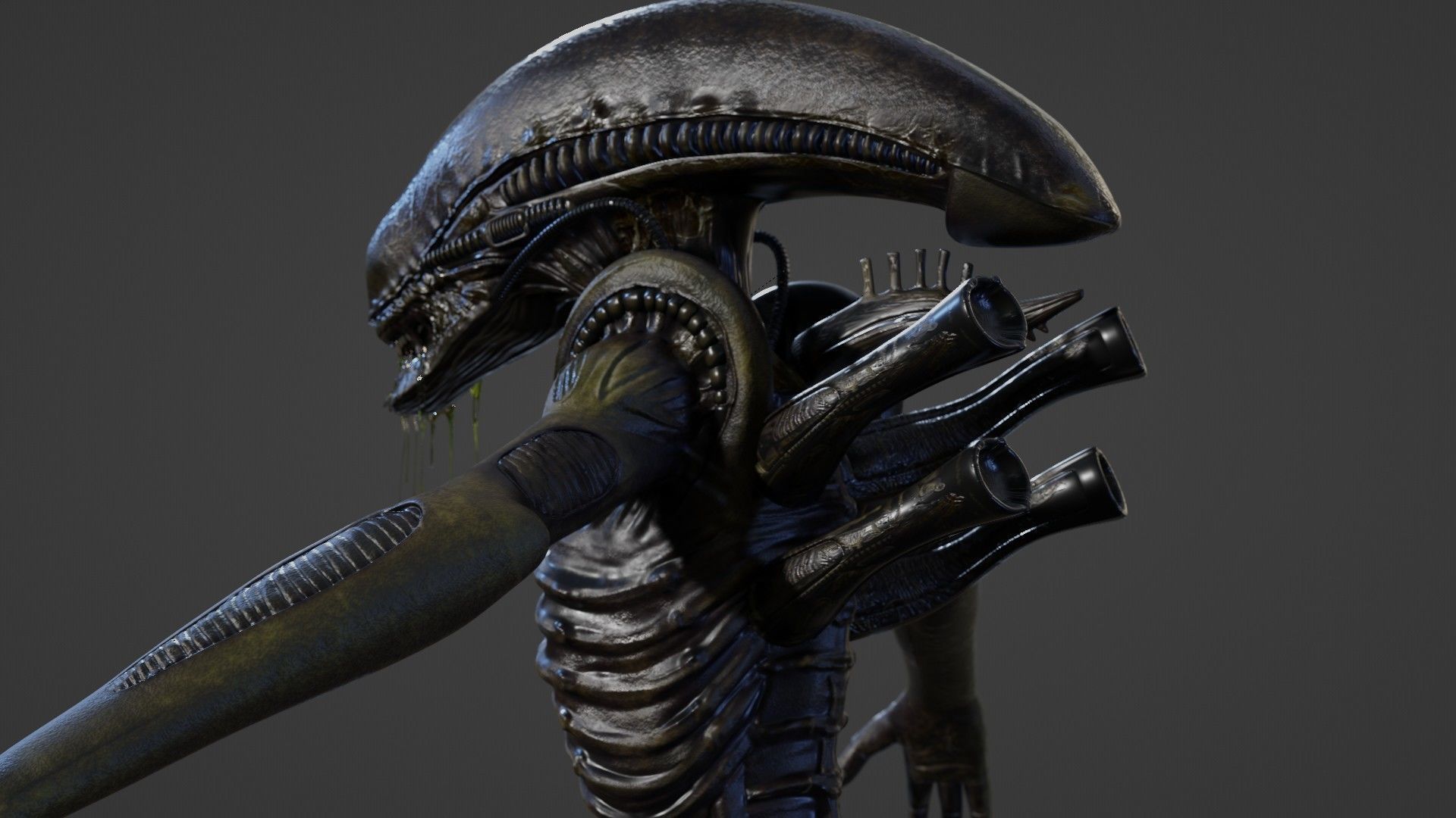 Alien - Xenomorph 3D model_5