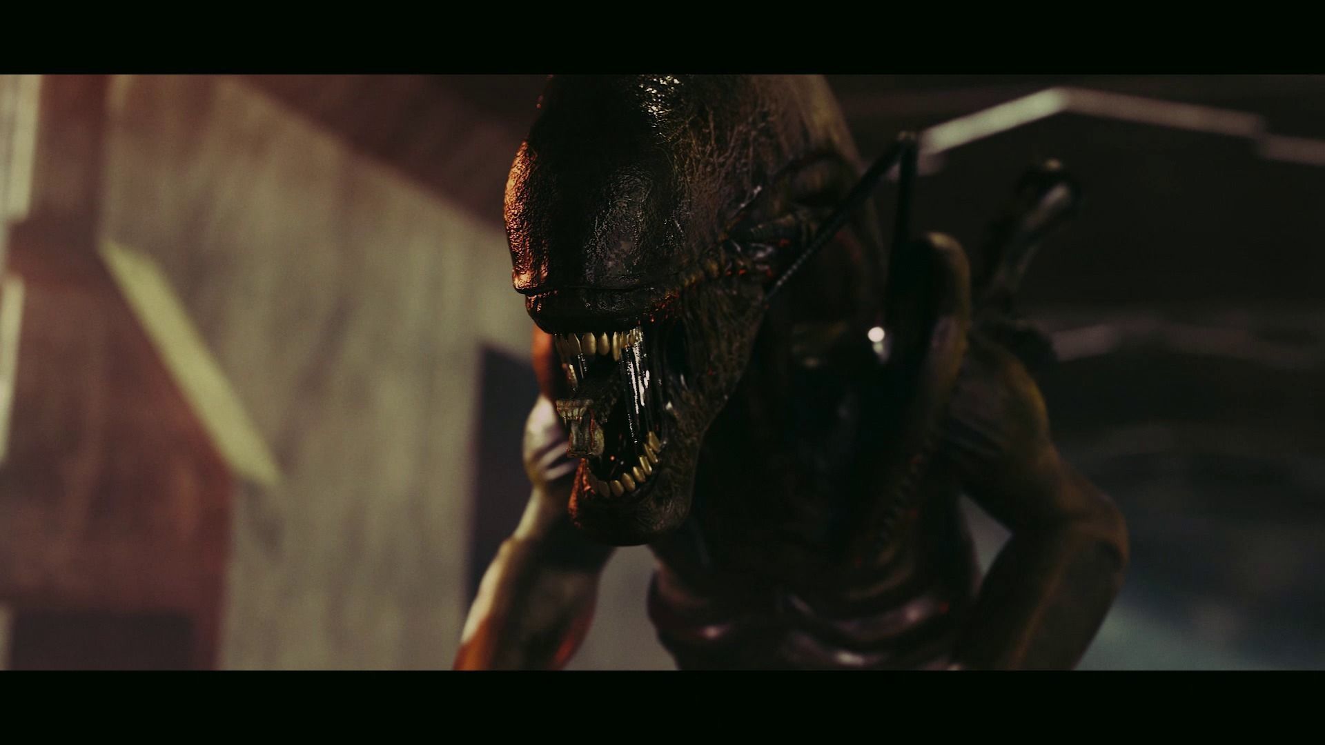 Alien - Xenomorph 3D model_2