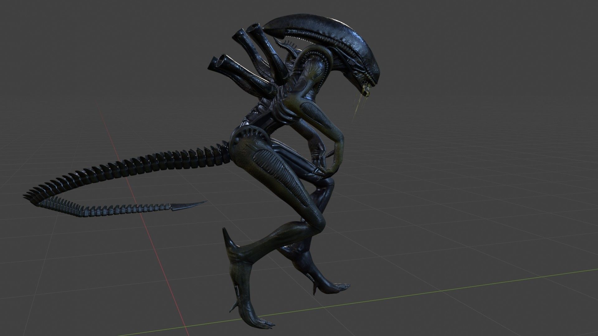 Alien - Xenomorph 3D model_7