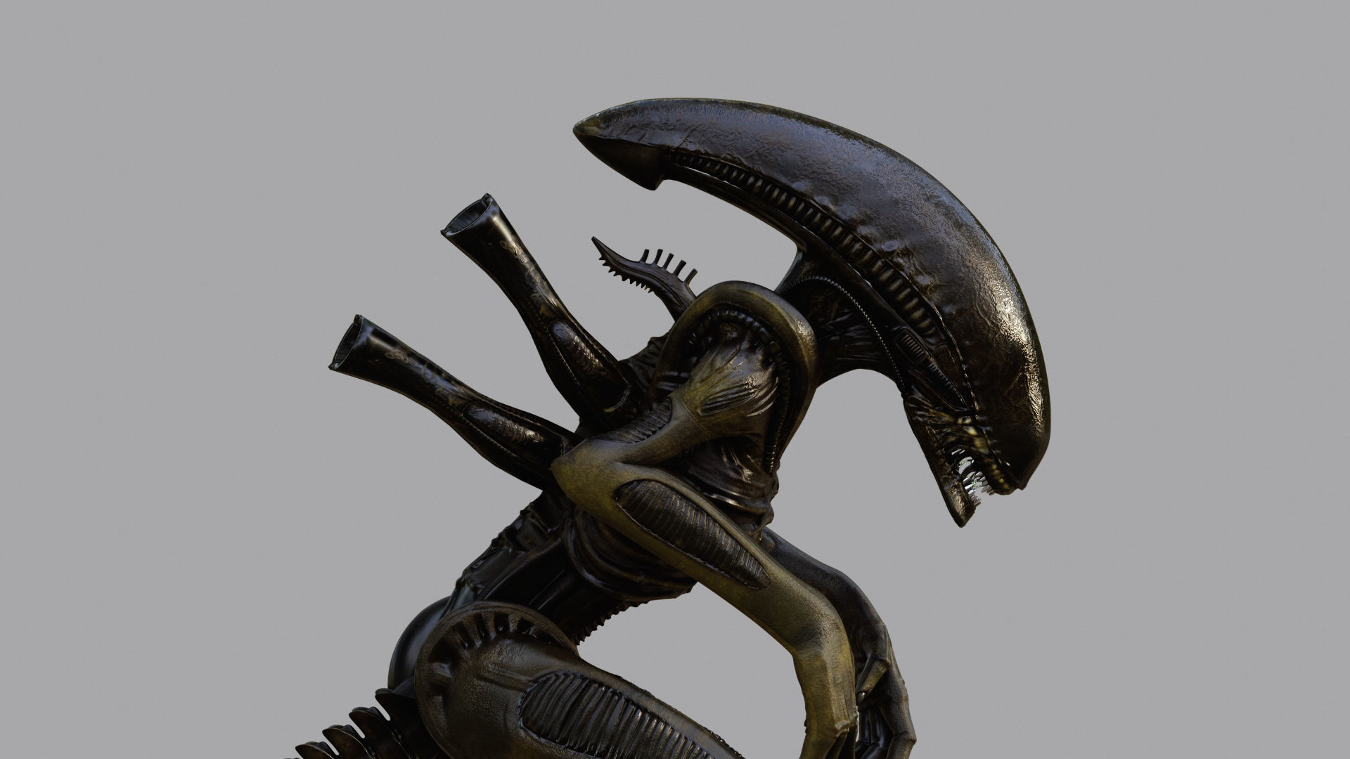 Alien - Xenomorph 3D model_3