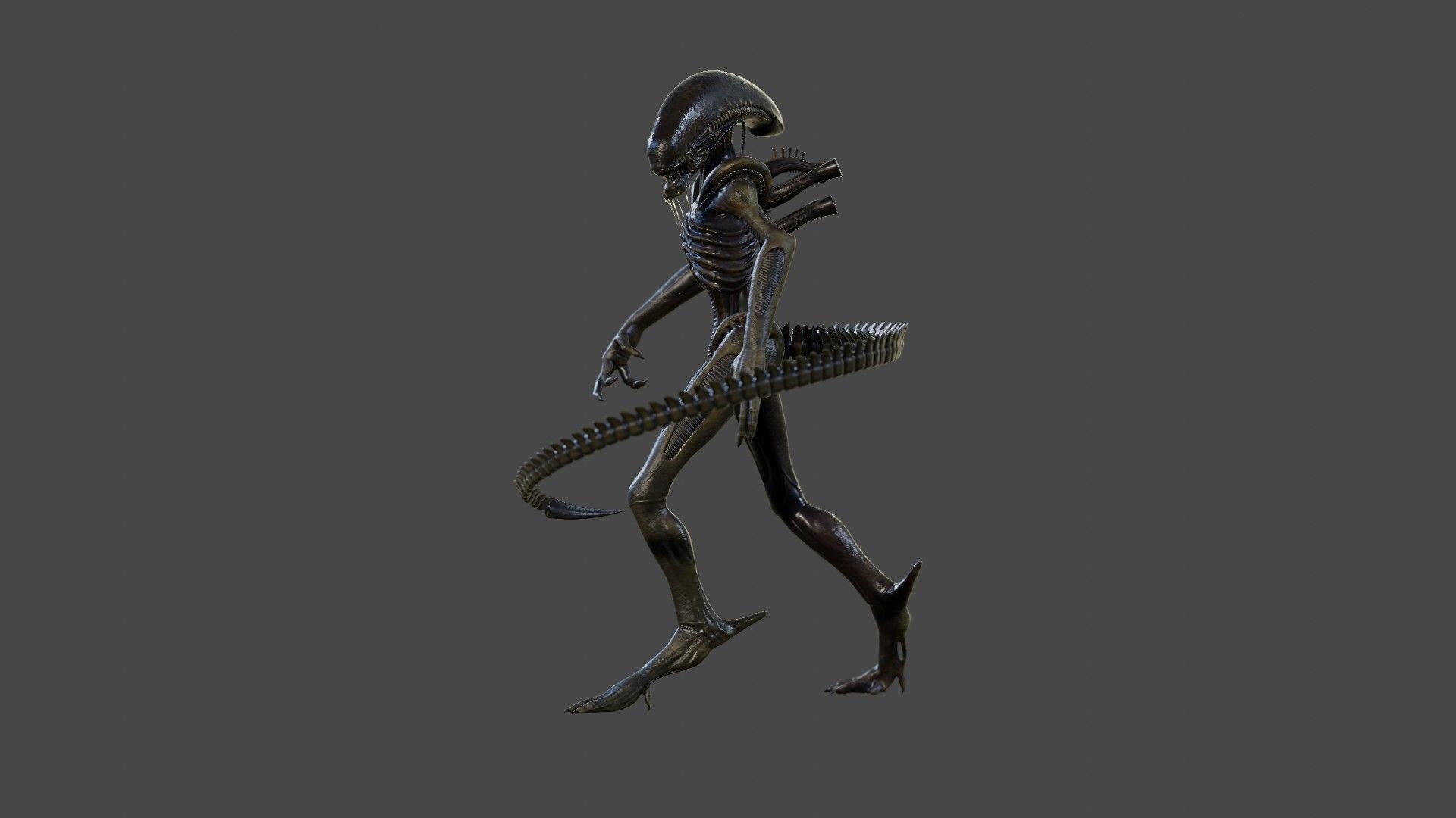 Alien - Xenomorph 3D model_6