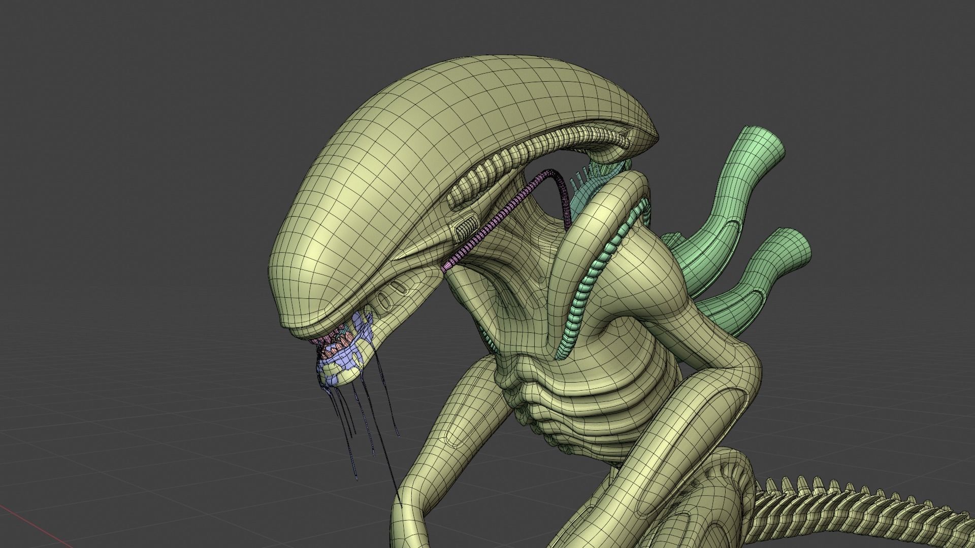 Alien - Xenomorph 3D model_9