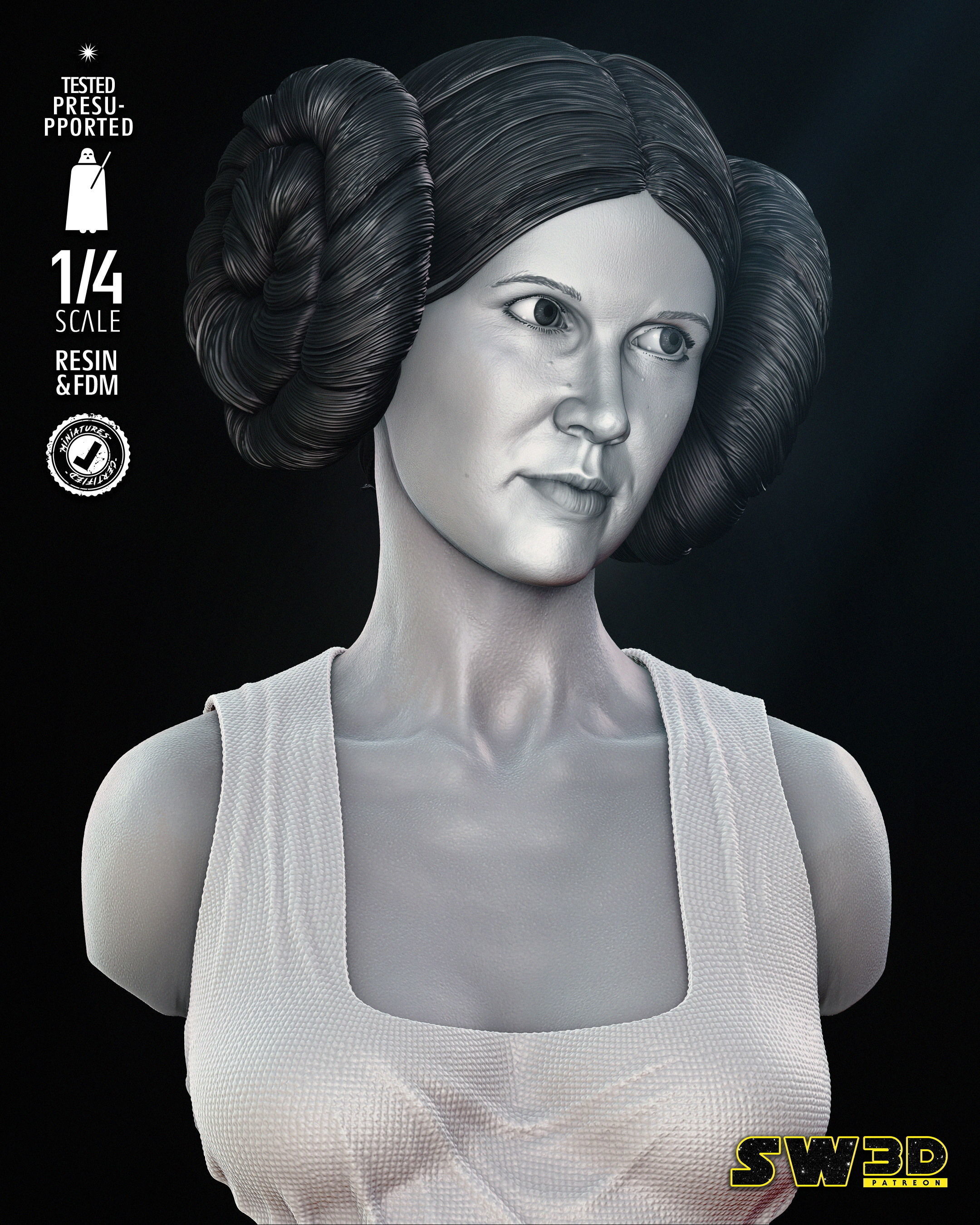 STAR WARS Leia New Hope Portrait Bust 3D print model_29