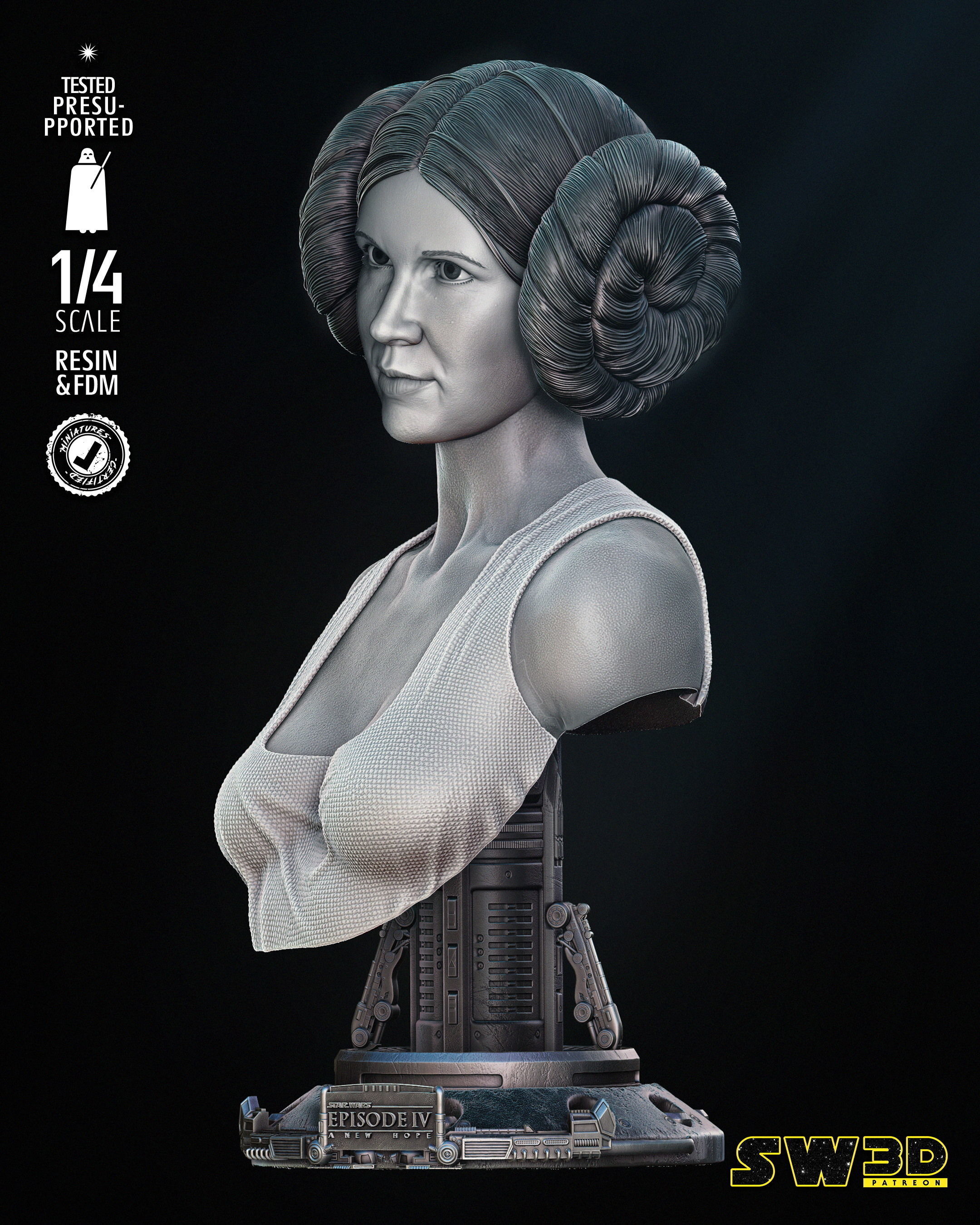 STAR WARS Leia New Hope Portrait Bust 3D print model_36