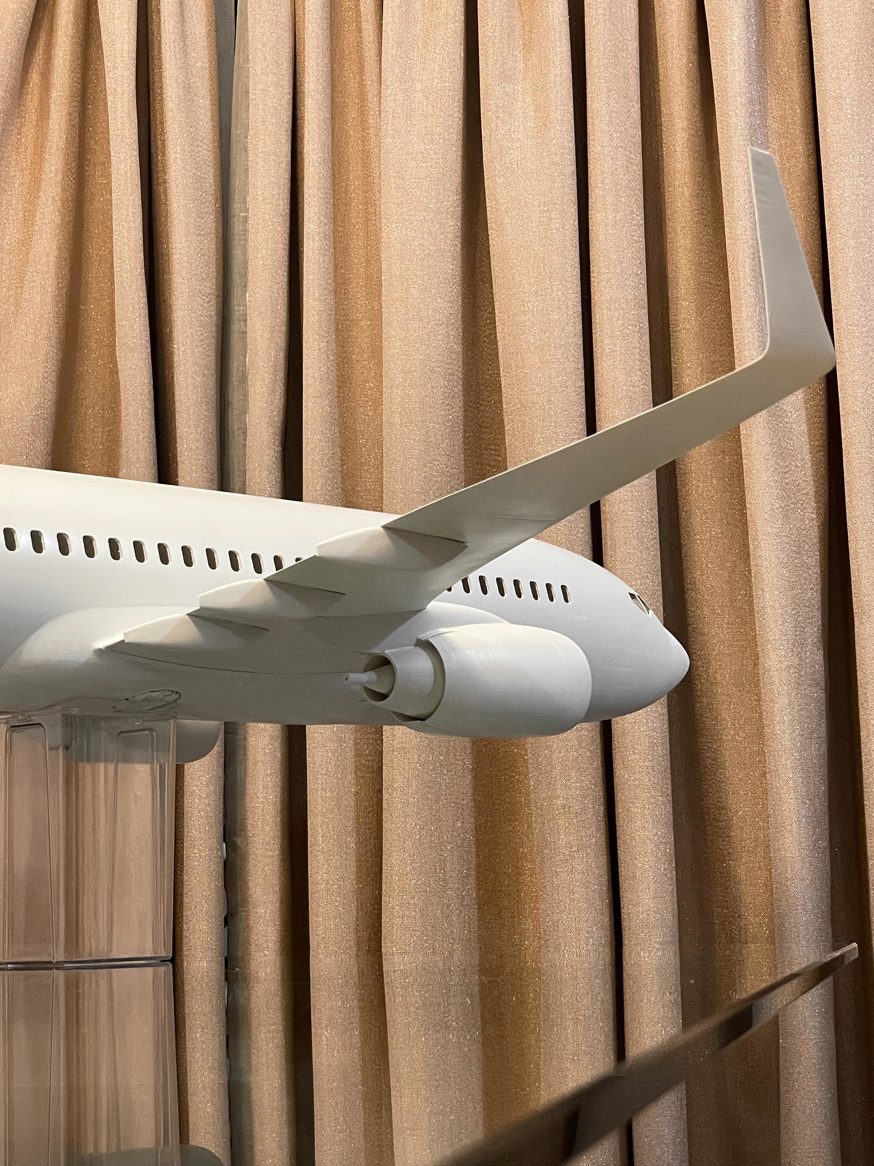 3D printable Boeing 737-700 3D print model_16