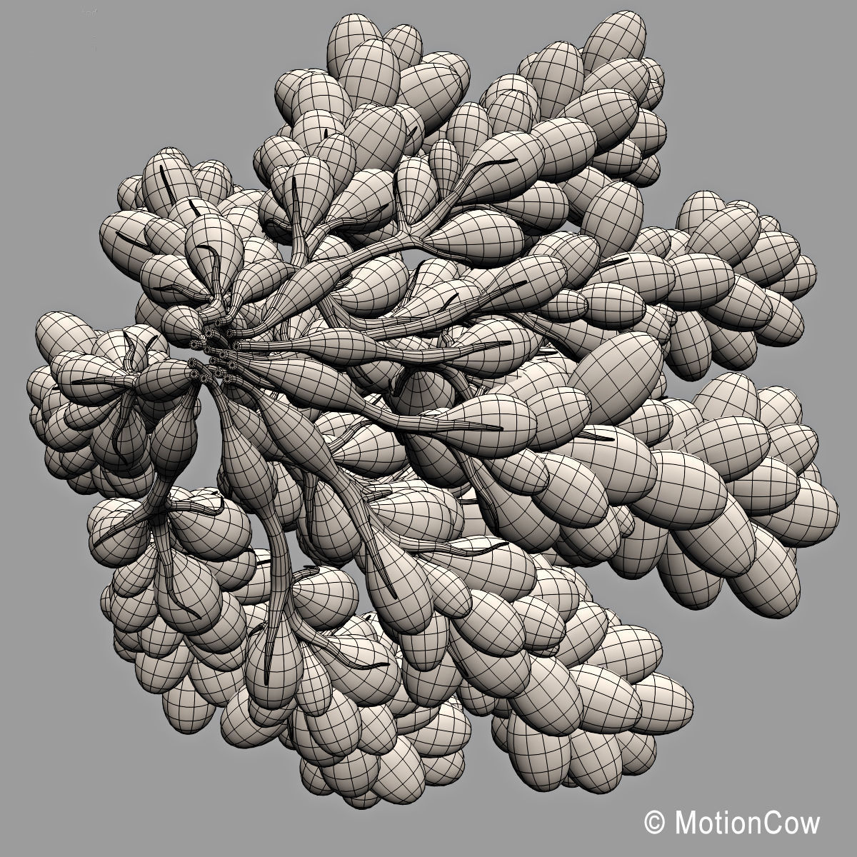 Female Breast 3D model_13