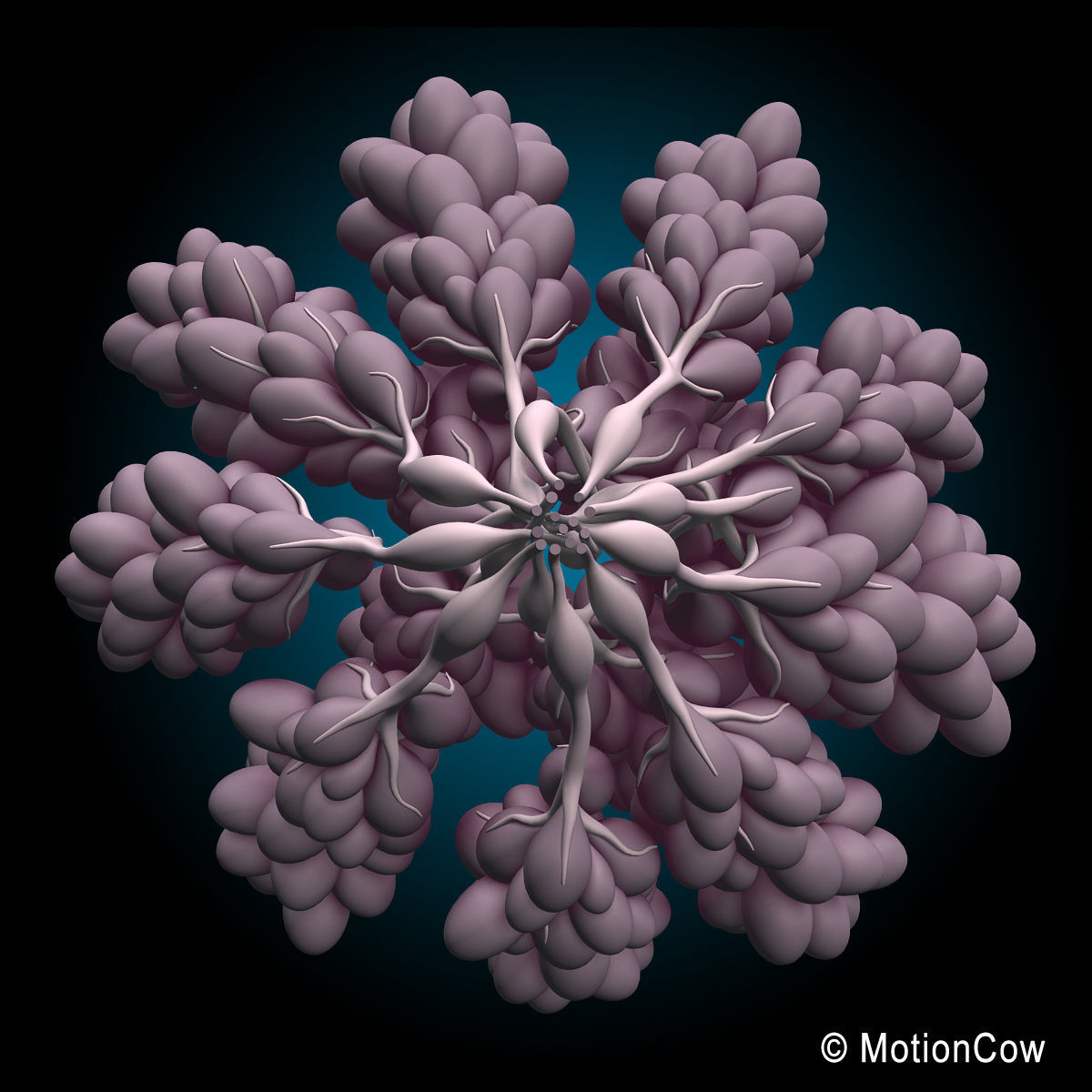 Female Breast 3D model_8