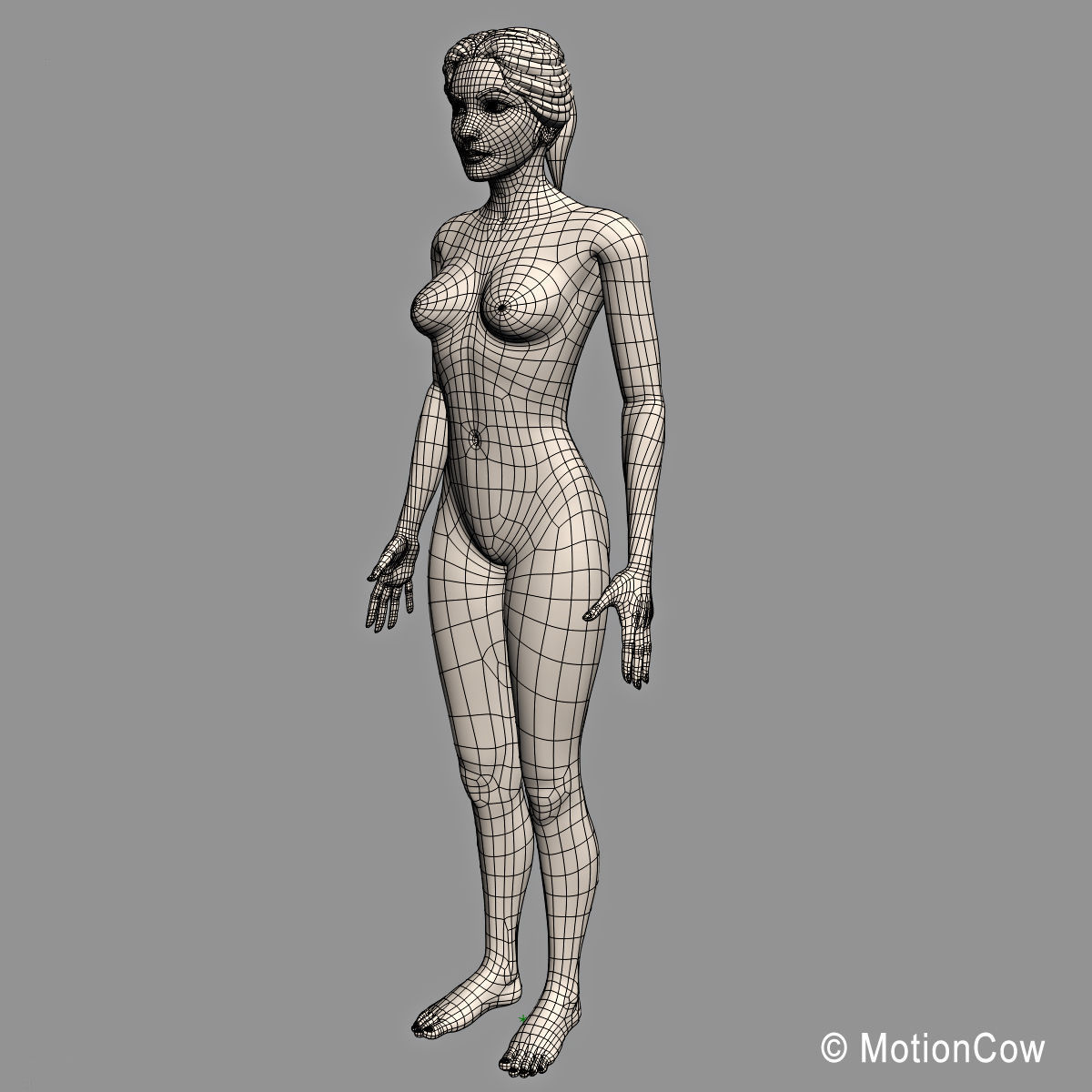 Female Breast 3D model_16