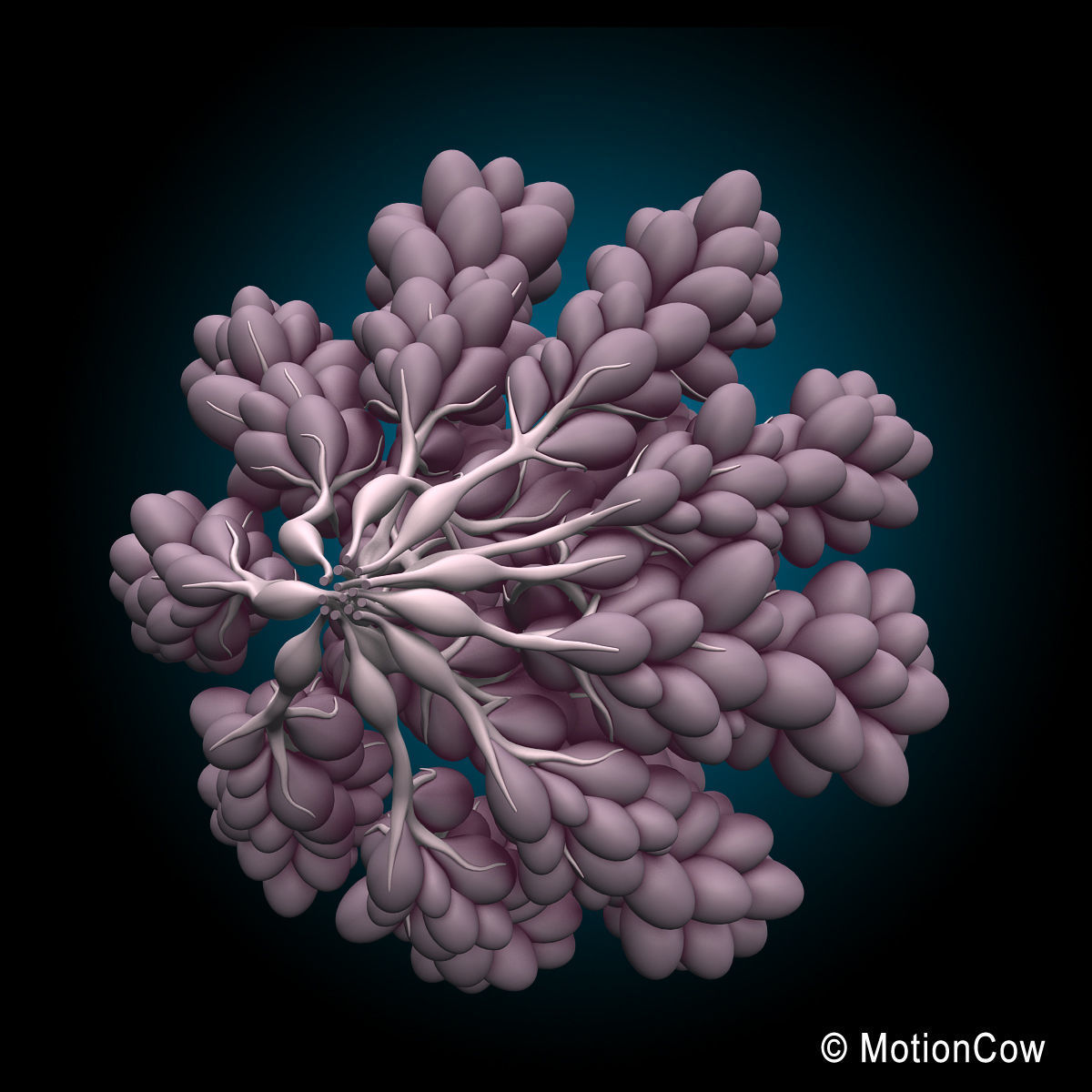 Female Breast 3D model_6