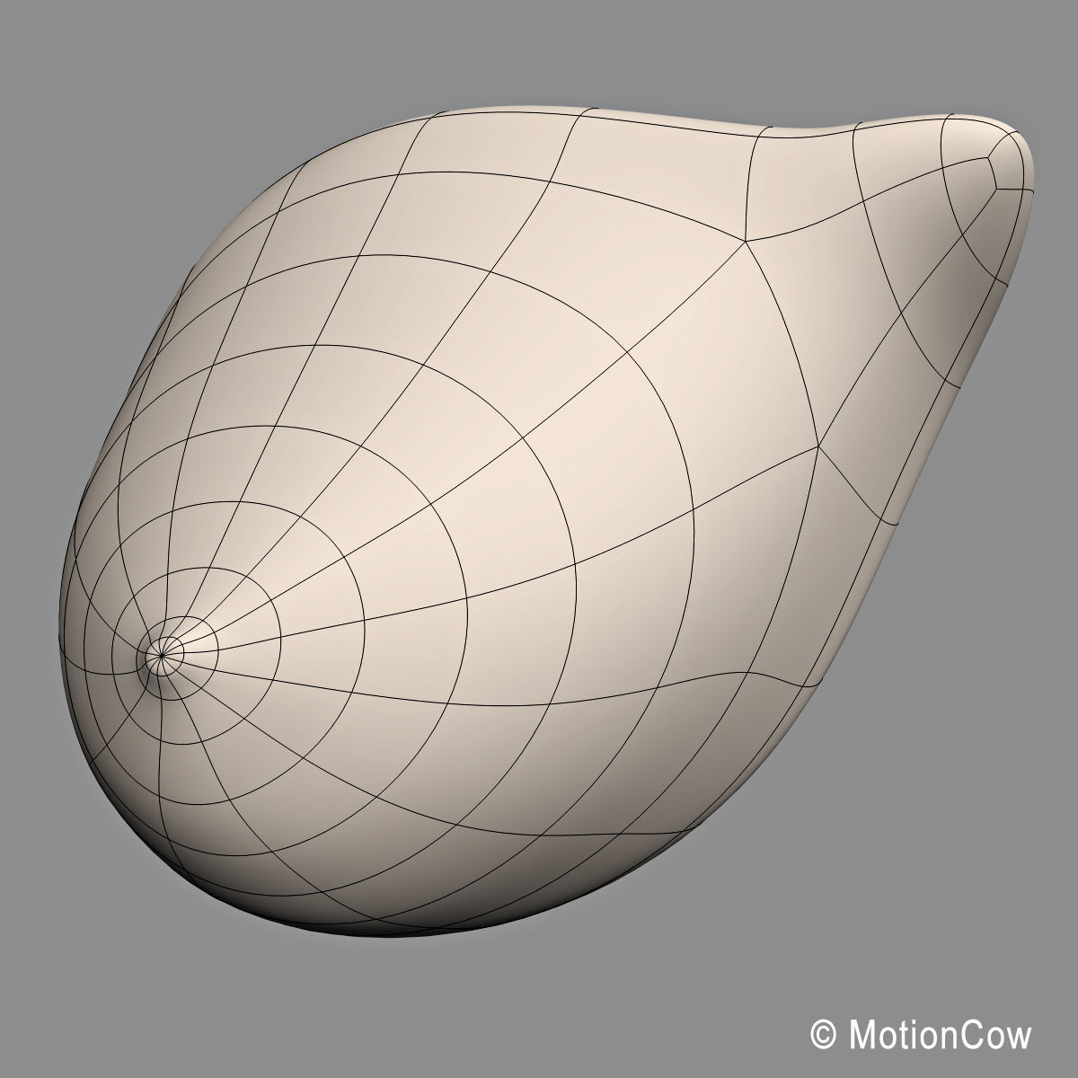 Female Breast 3D model_17