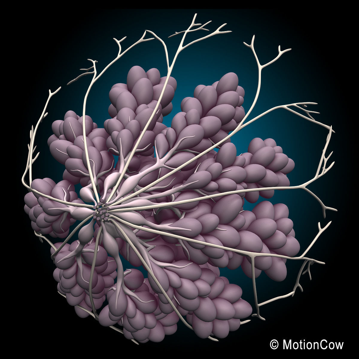 Female Breast 3D model_5