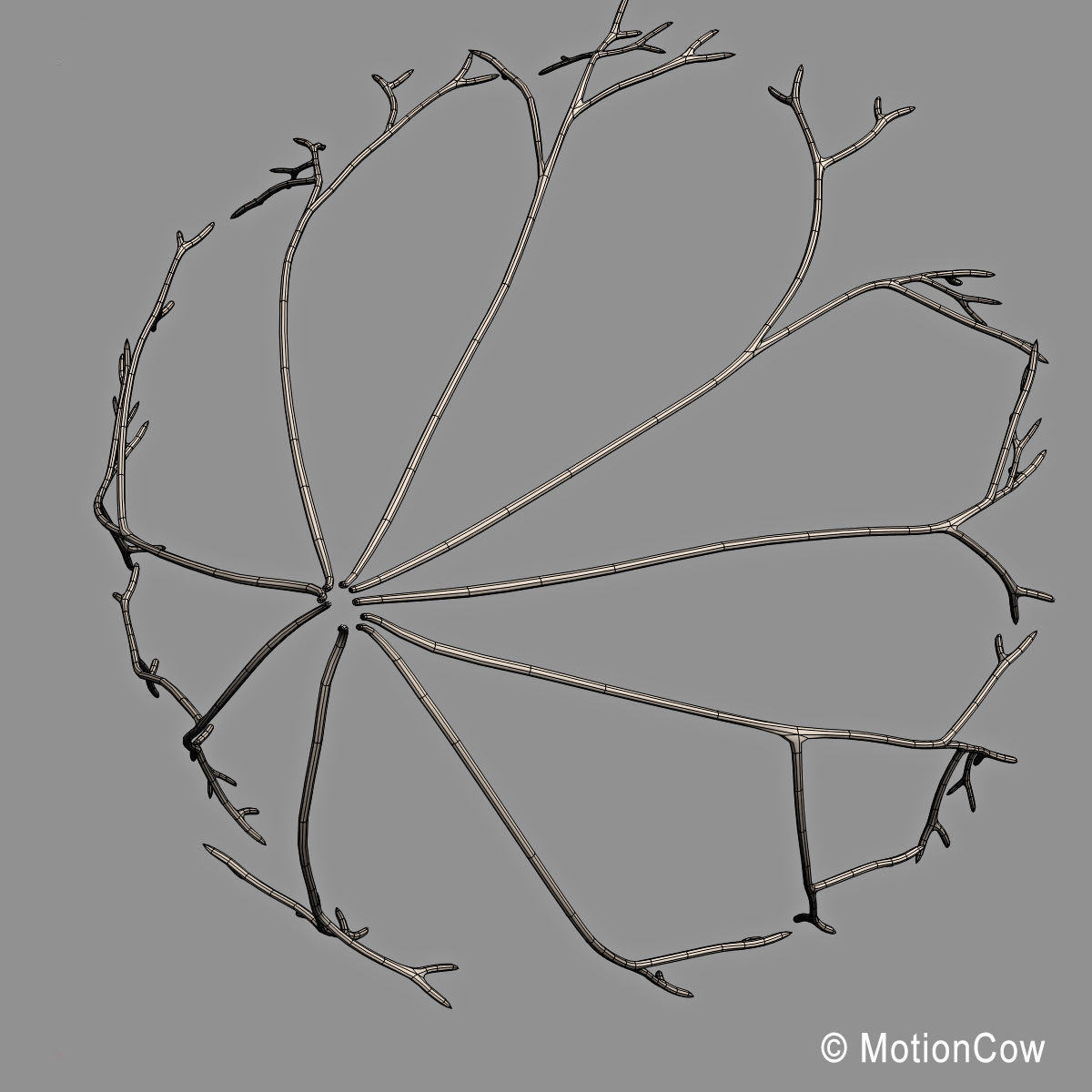 Female Breast 3D model_15