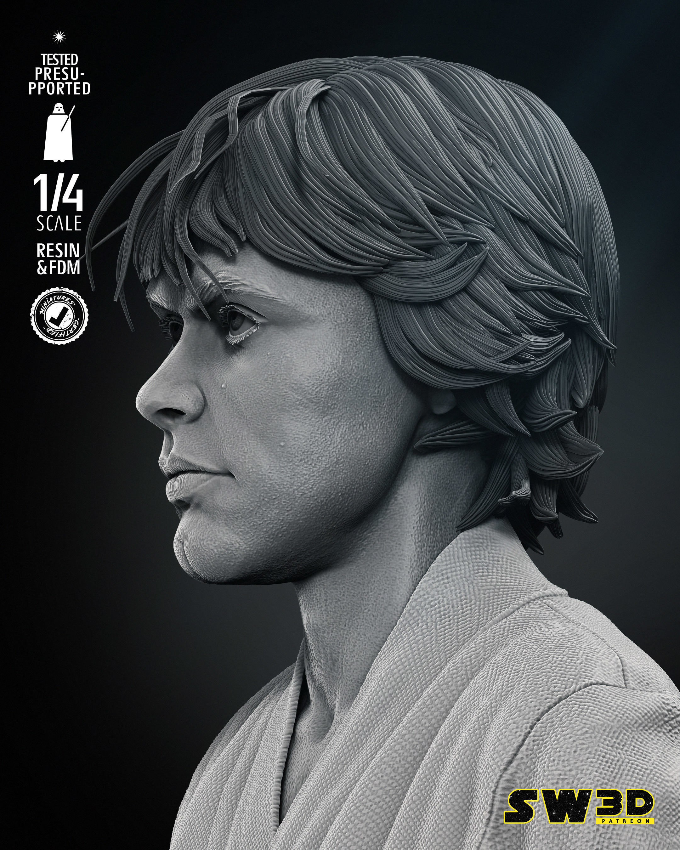 STAR WARS Luke New Hope Bust Portrait 3D print model_11