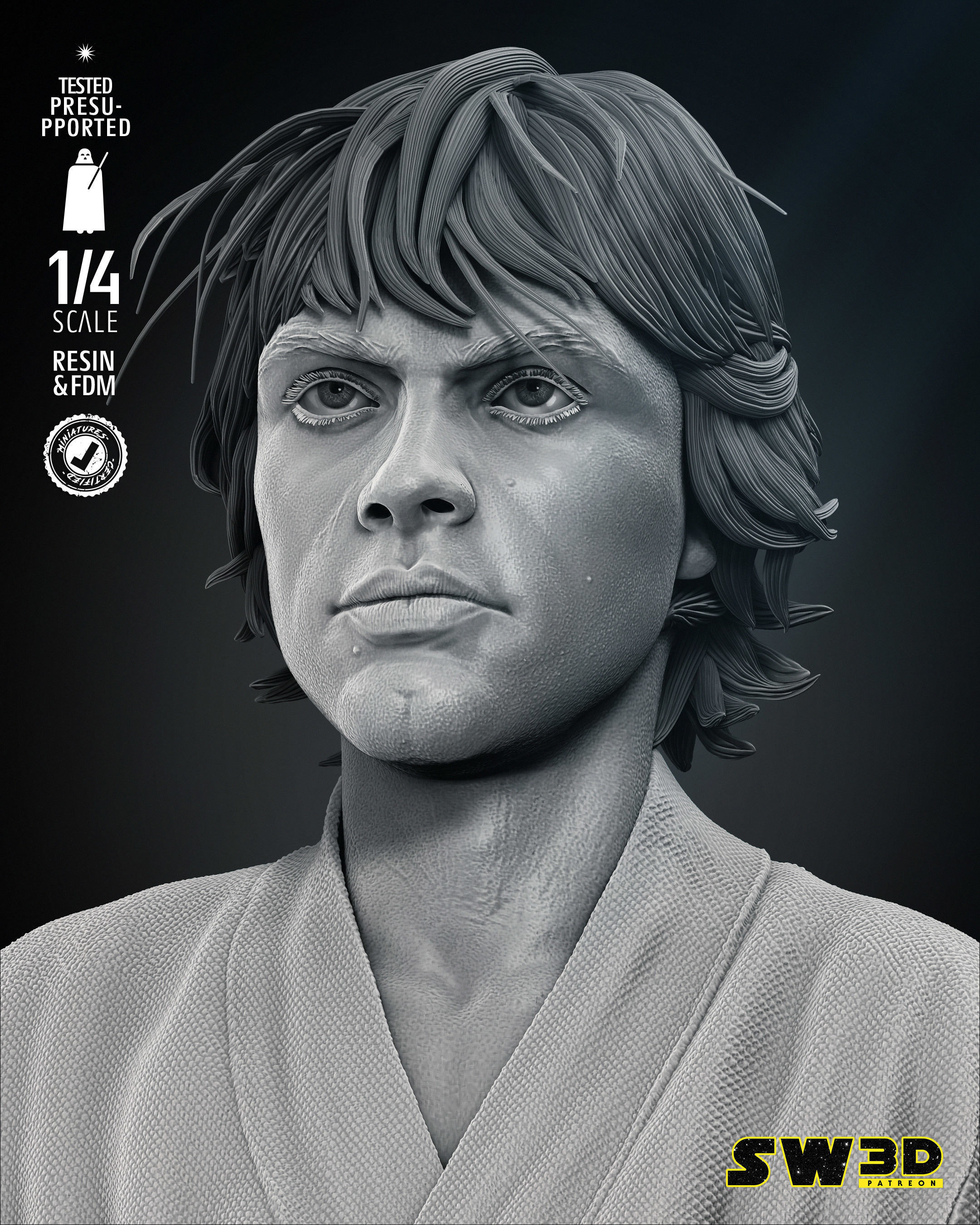 STAR WARS Luke New Hope Bust Portrait 3D print model_3