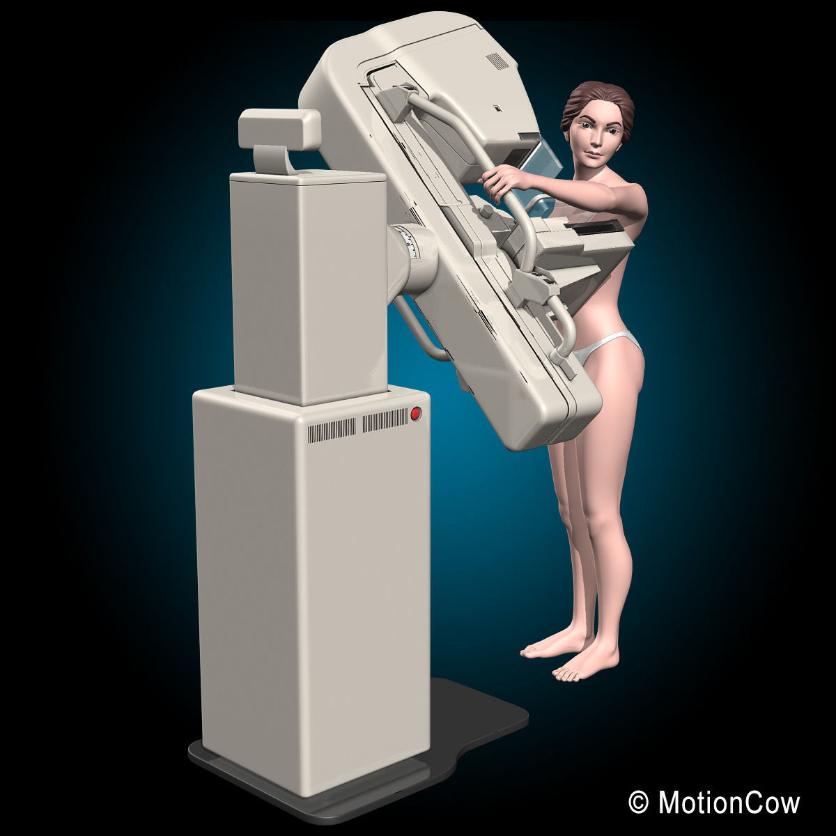 Mammogram 3D model_8