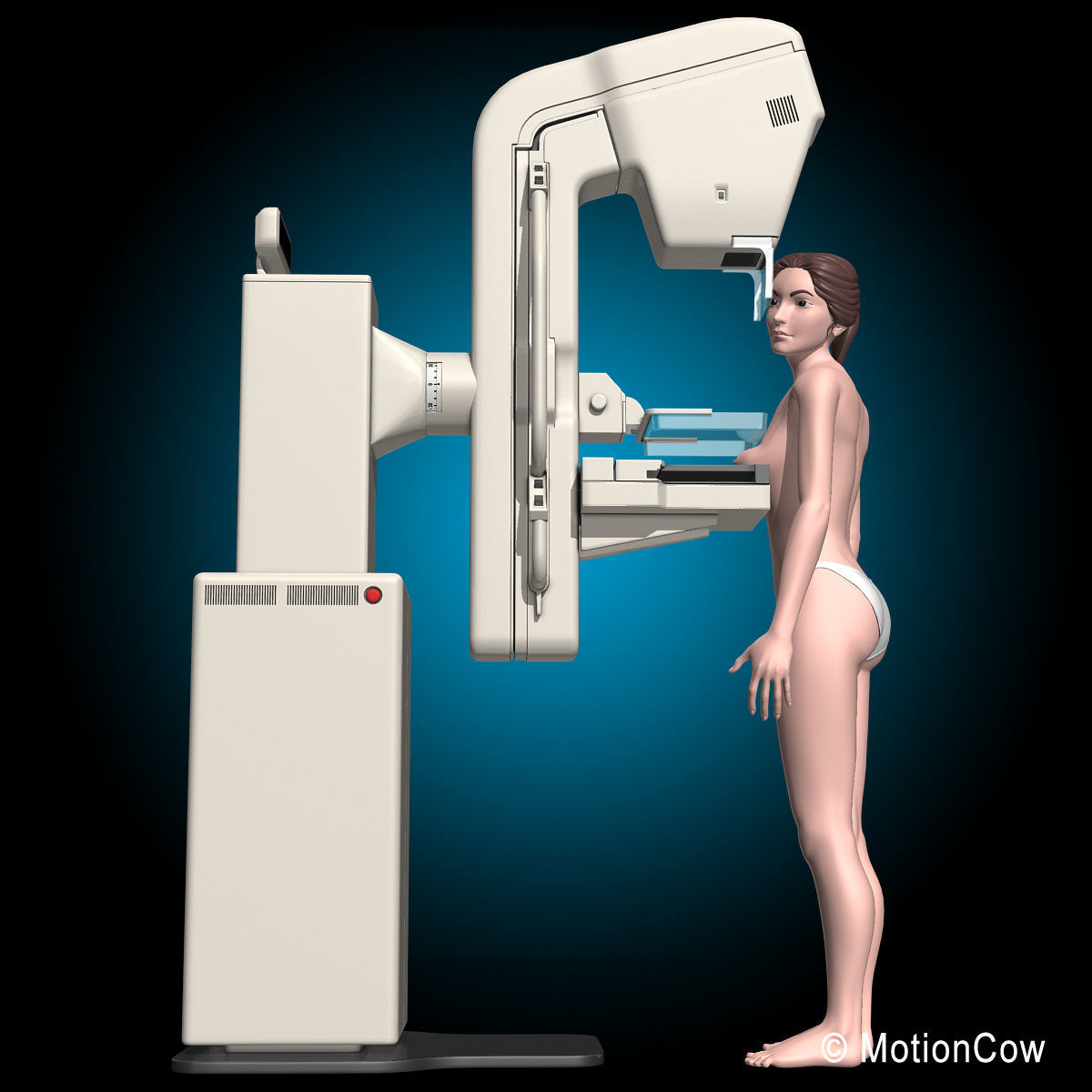 Mammogram 3D model_13