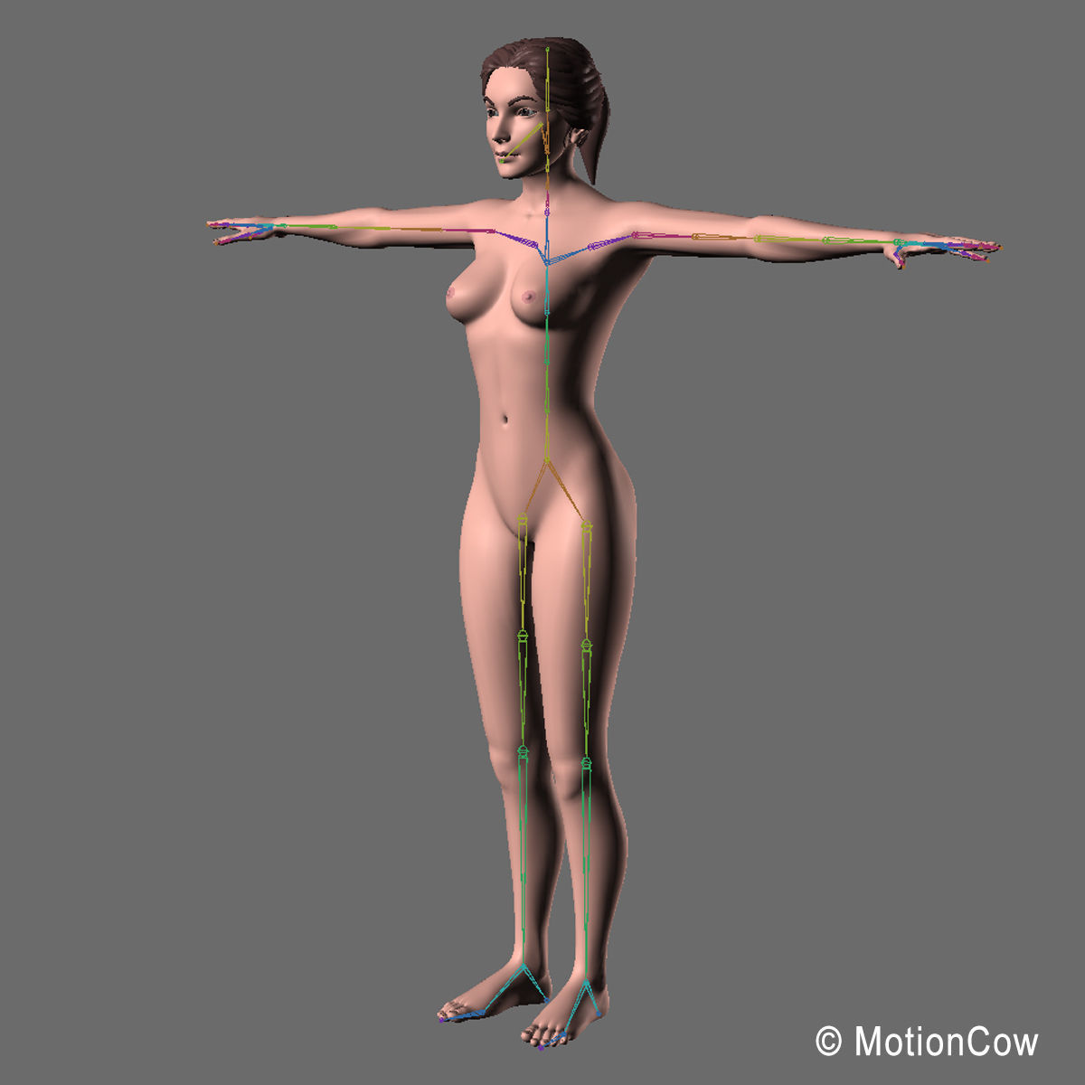 Mammogram 3D model_20