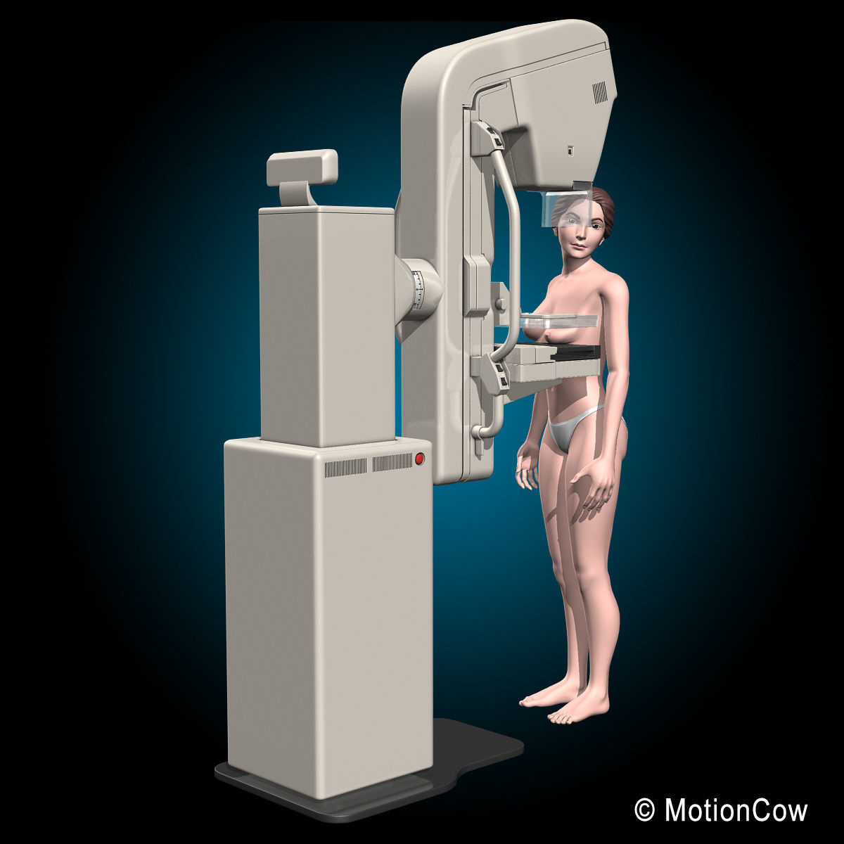 Mammogram 3D model_6
