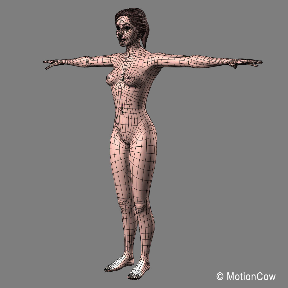 Mammogram 3D model_18