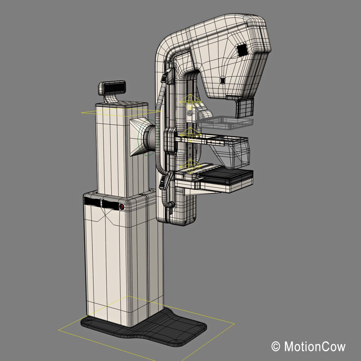 Mammogram 3D model_17