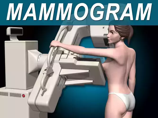  Mammogram 3D model