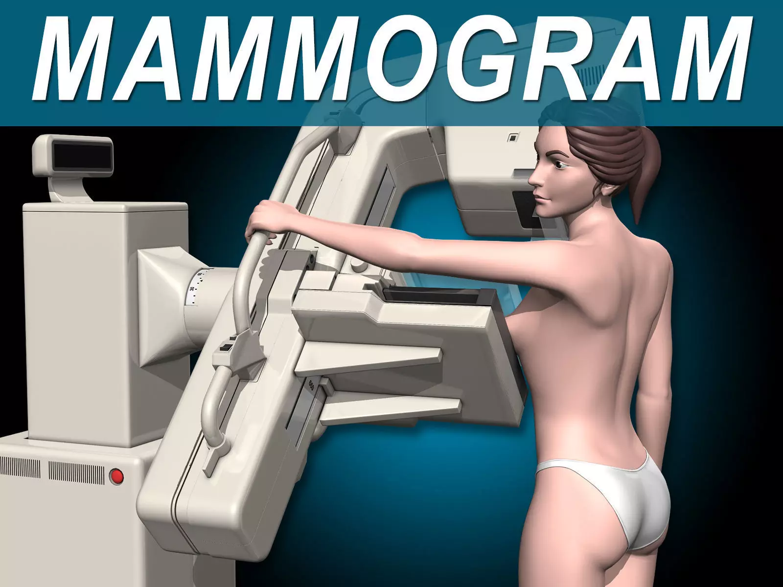 Mammogram 3D model_0