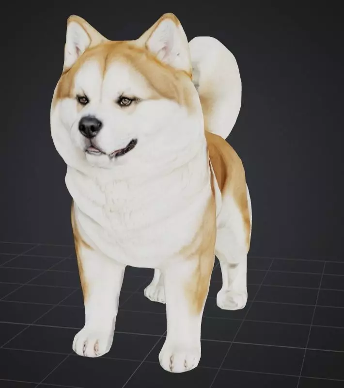 Akita Dog Low-poly 3D model