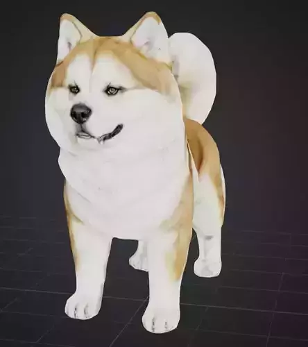 Akita Dog