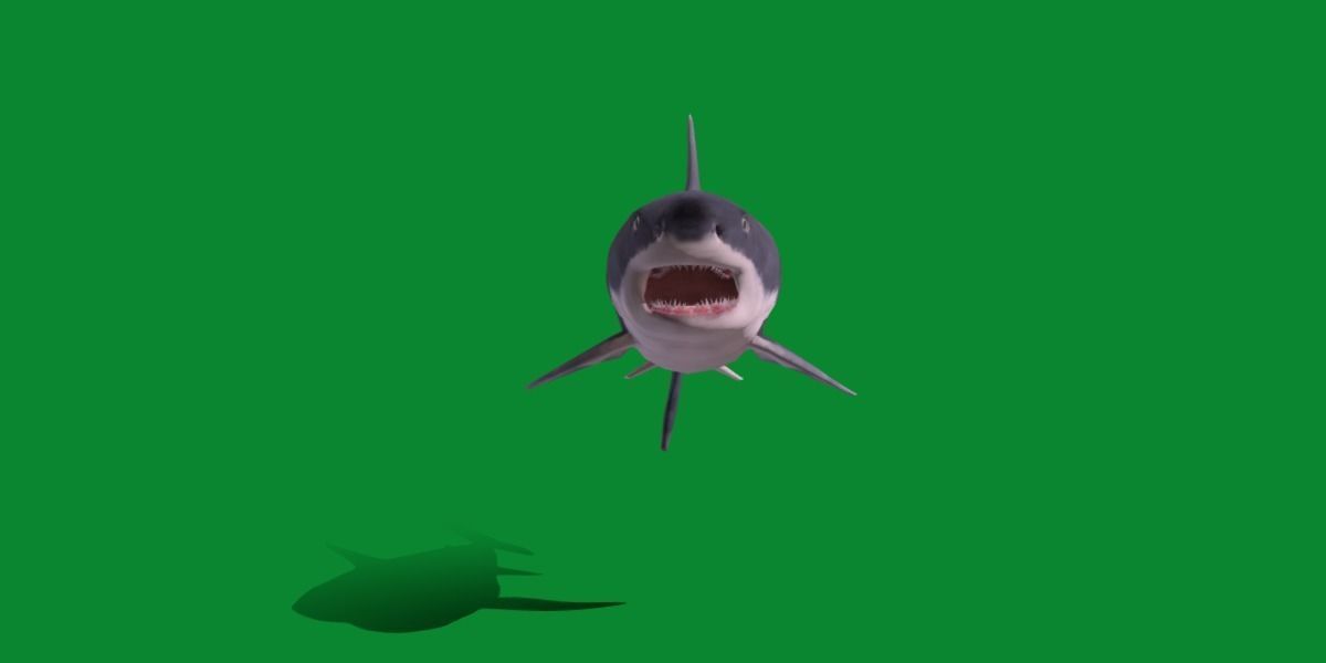 Great White Shark Low-poly 3D model_5