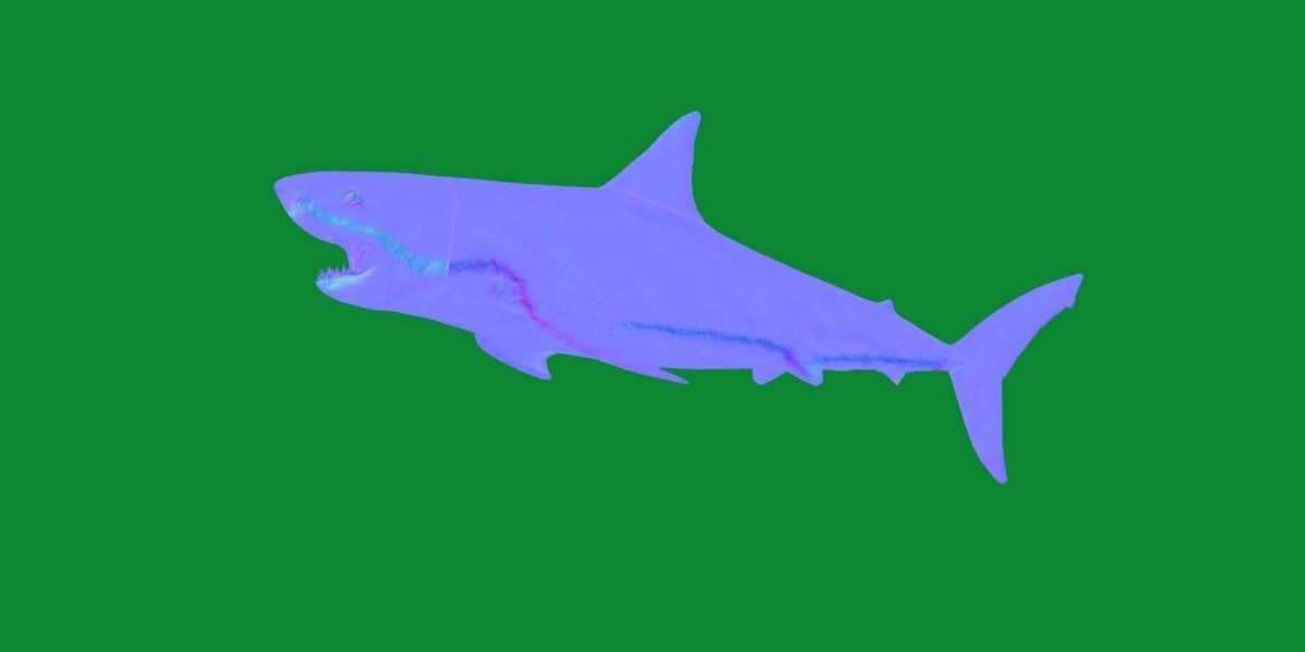 Great White Shark Low-poly 3D model_21
