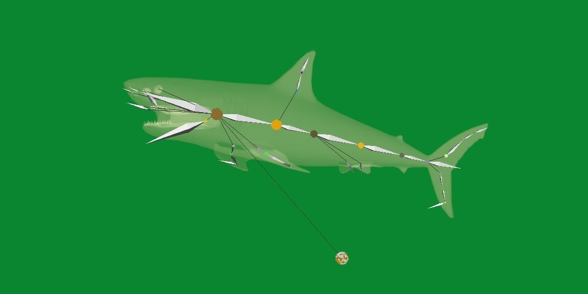 Great White Shark Low-poly 3D model_18