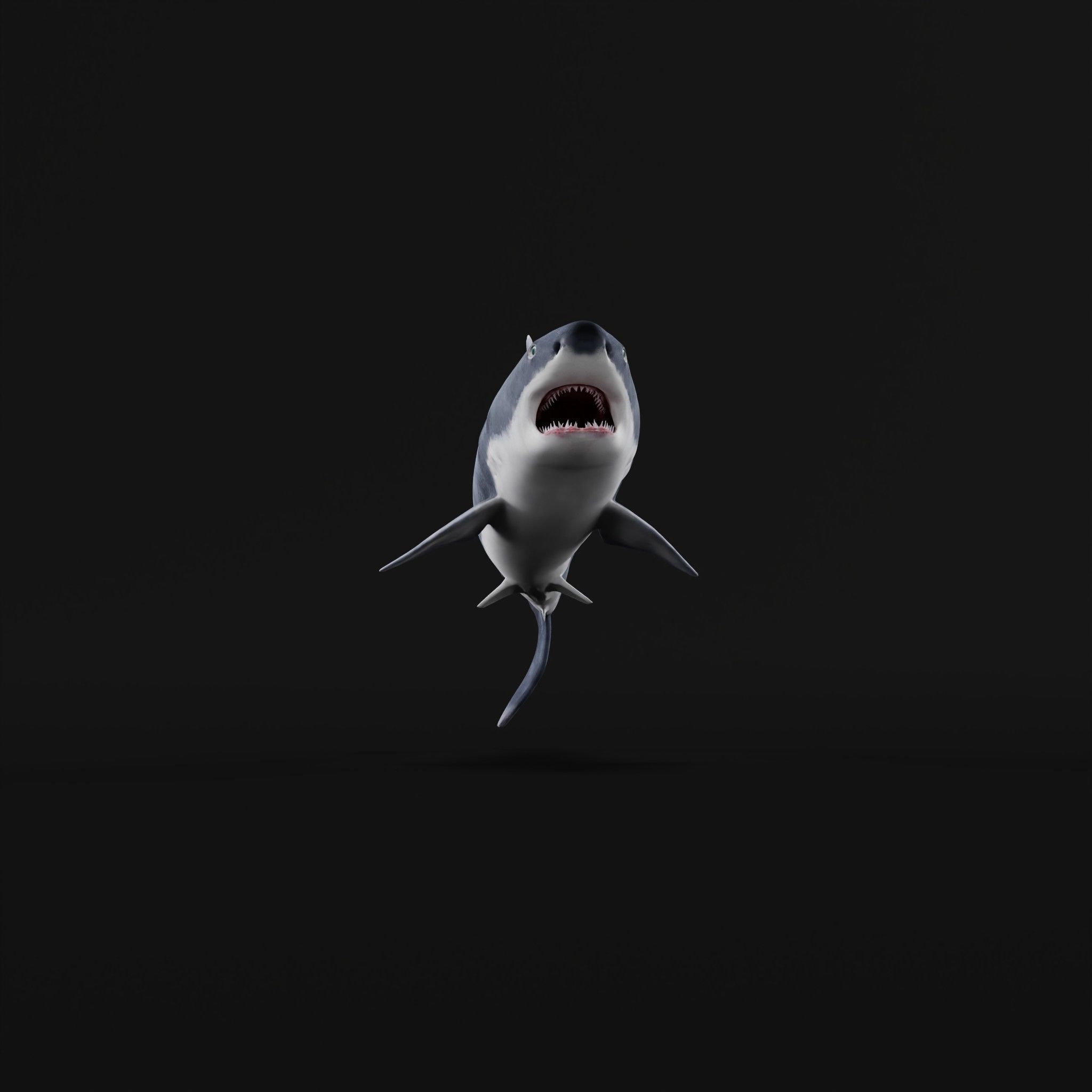 Great White Shark Low-poly 3D model_28