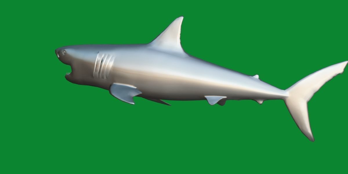 Great White Shark Low-poly 3D model_7