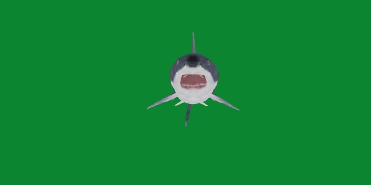Great White Shark Low-poly 3D model_6