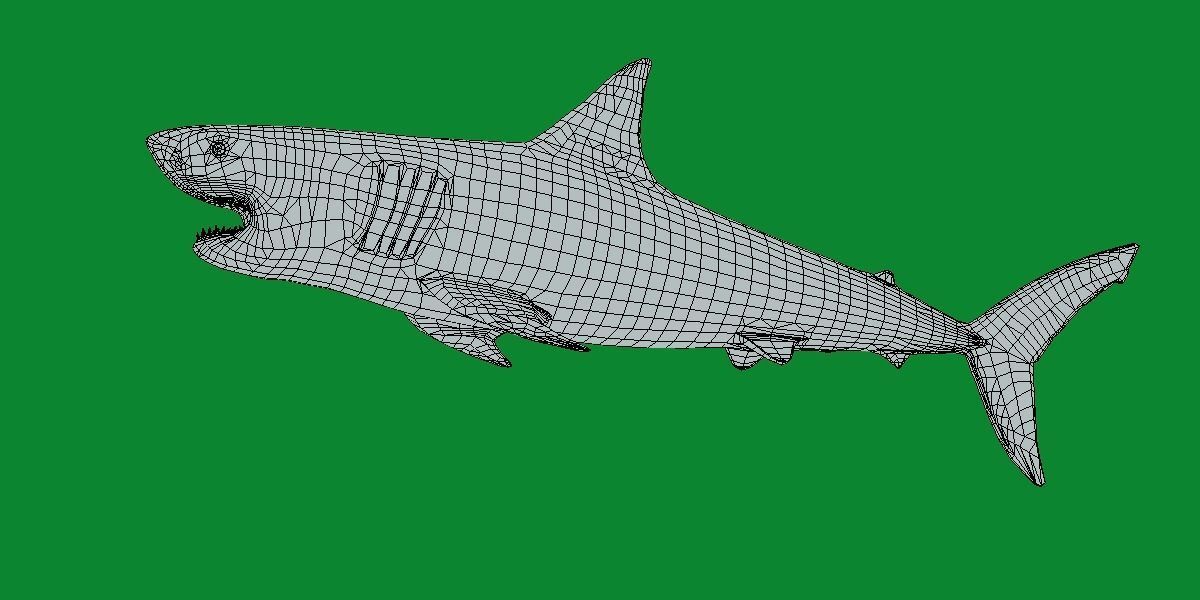 Great White Shark Low-poly 3D model_9