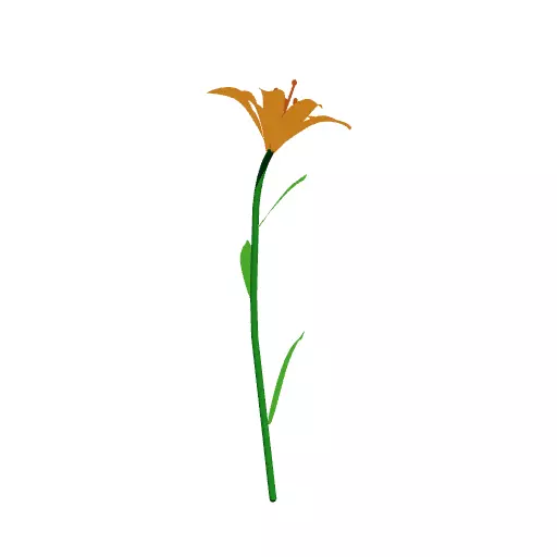 Hemerocallis Free 3D model