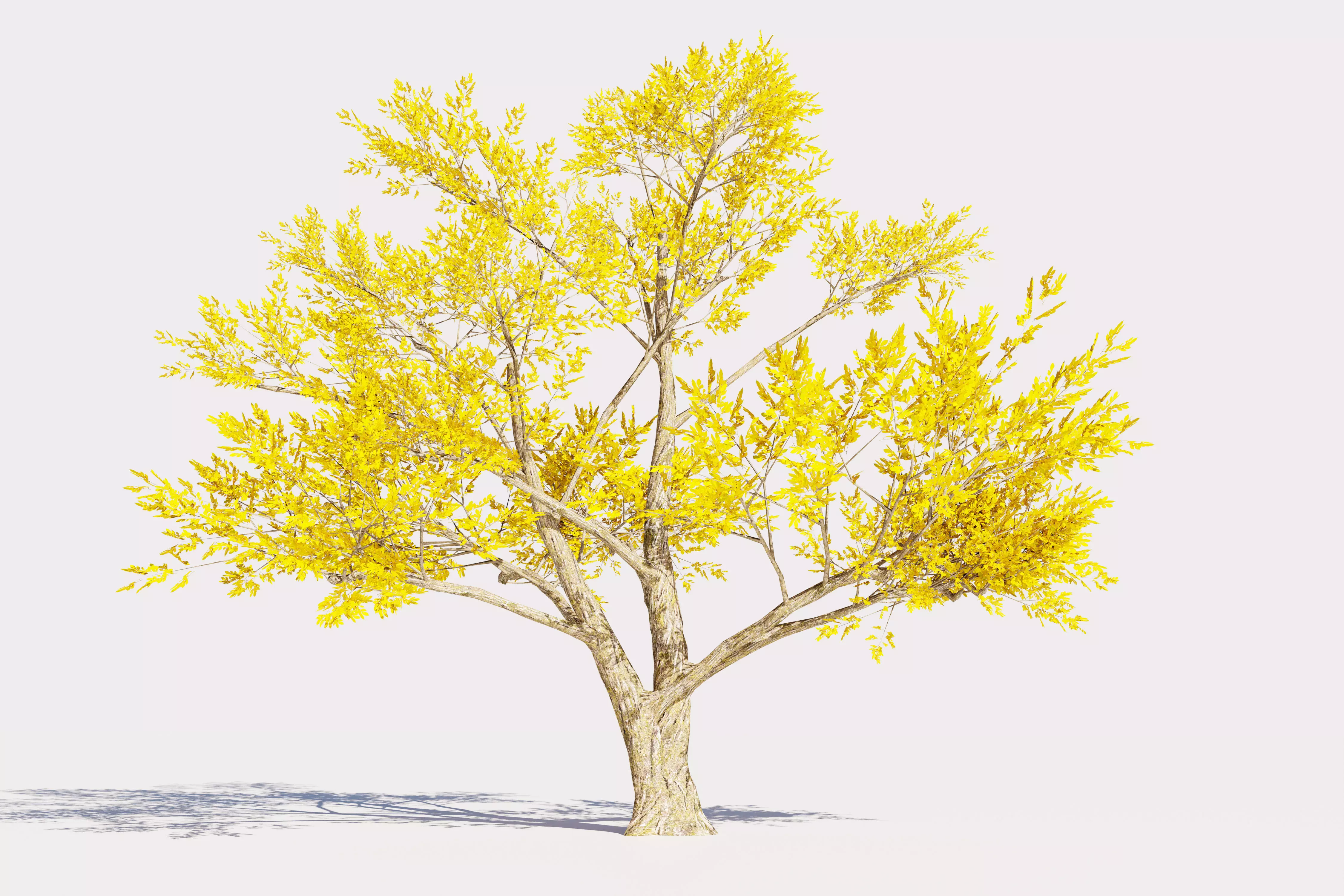 4 Yellow Tree Low-poly 3D model