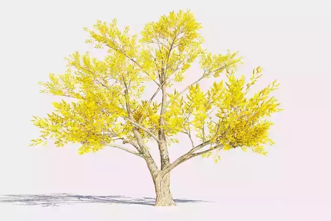 4 Yellow Tree Low-poly 3D model