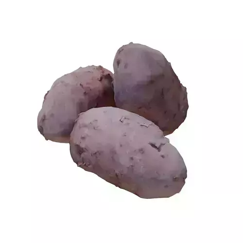 Potato  Low-poly 3D model