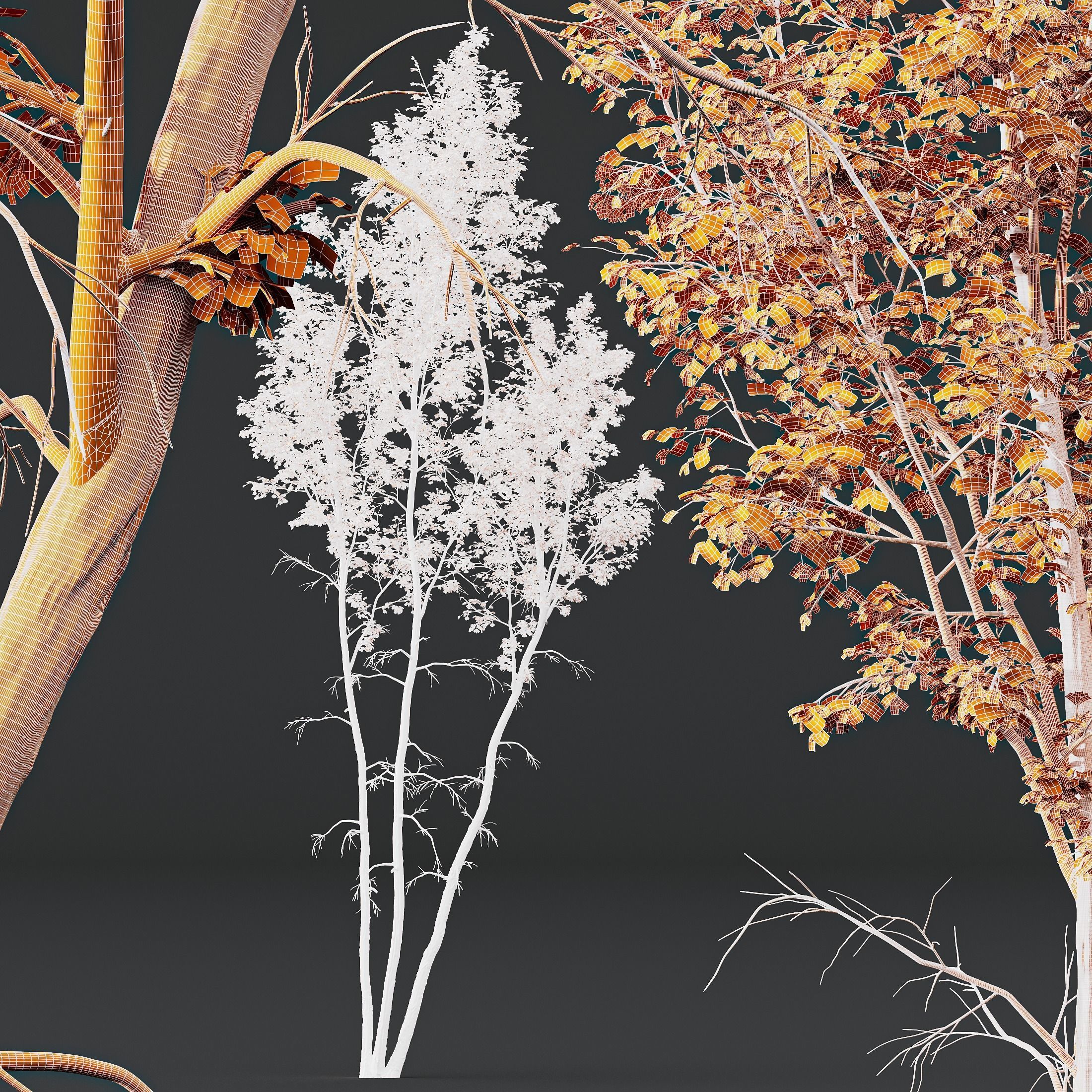 Betula Pendula 3 trees 3D model_5