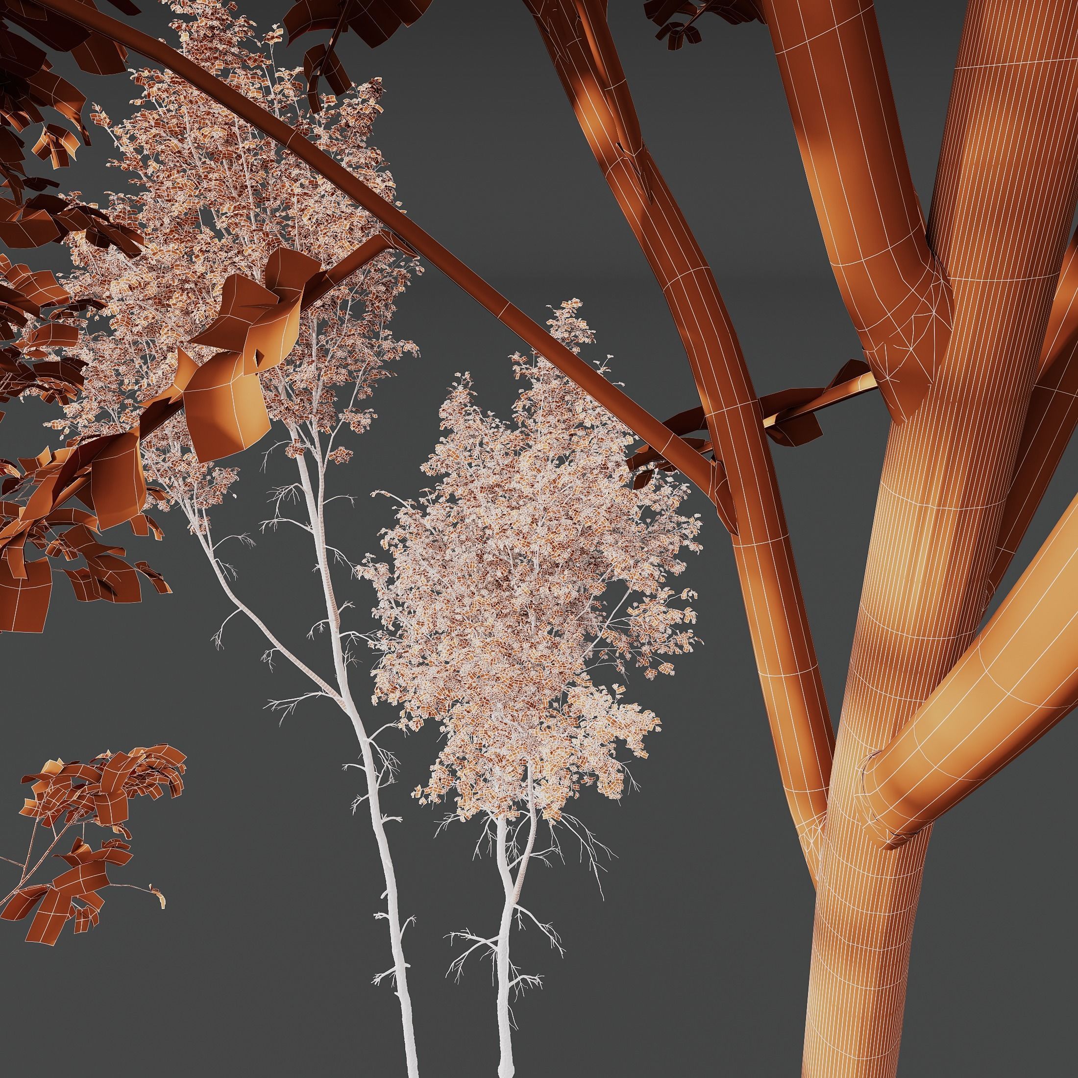 Betula Pendula 3 trees 3D model_3