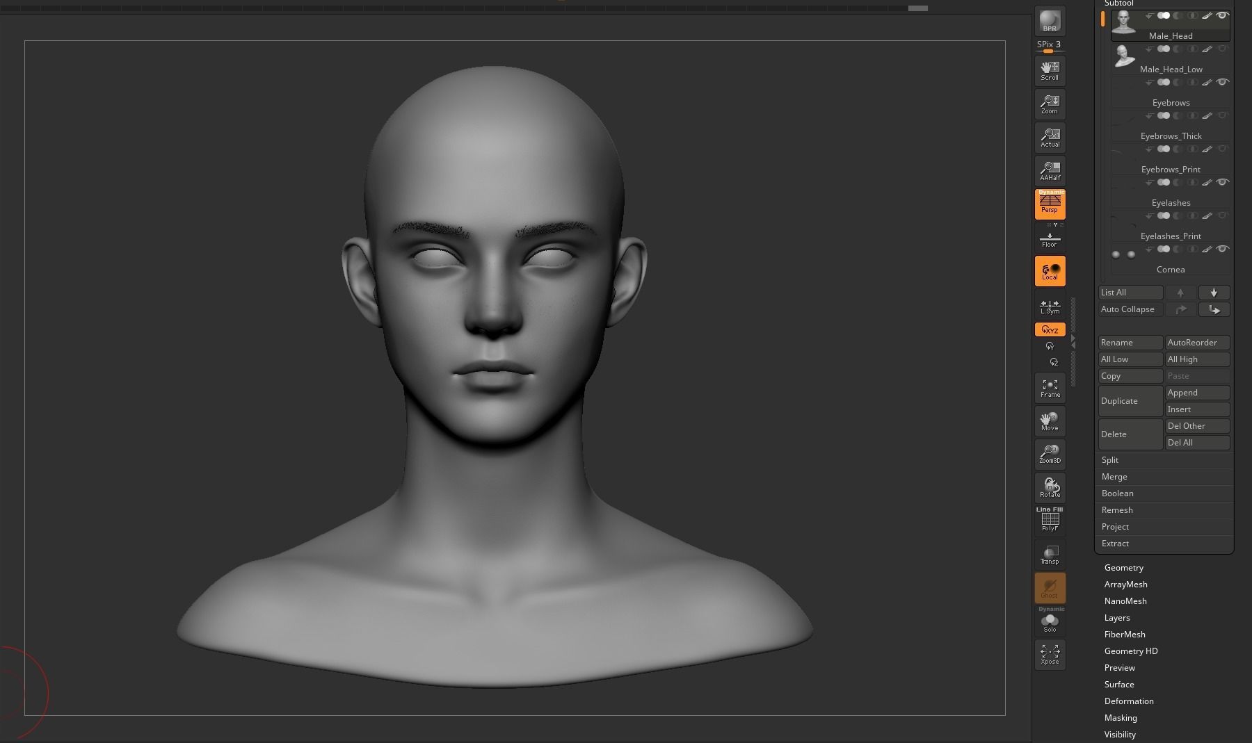 Young Male Head 3D model_25