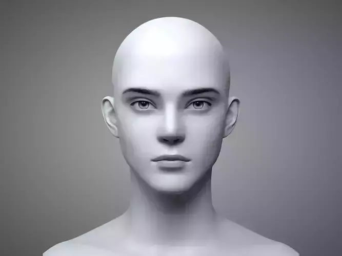 Young Male Head 3D model
